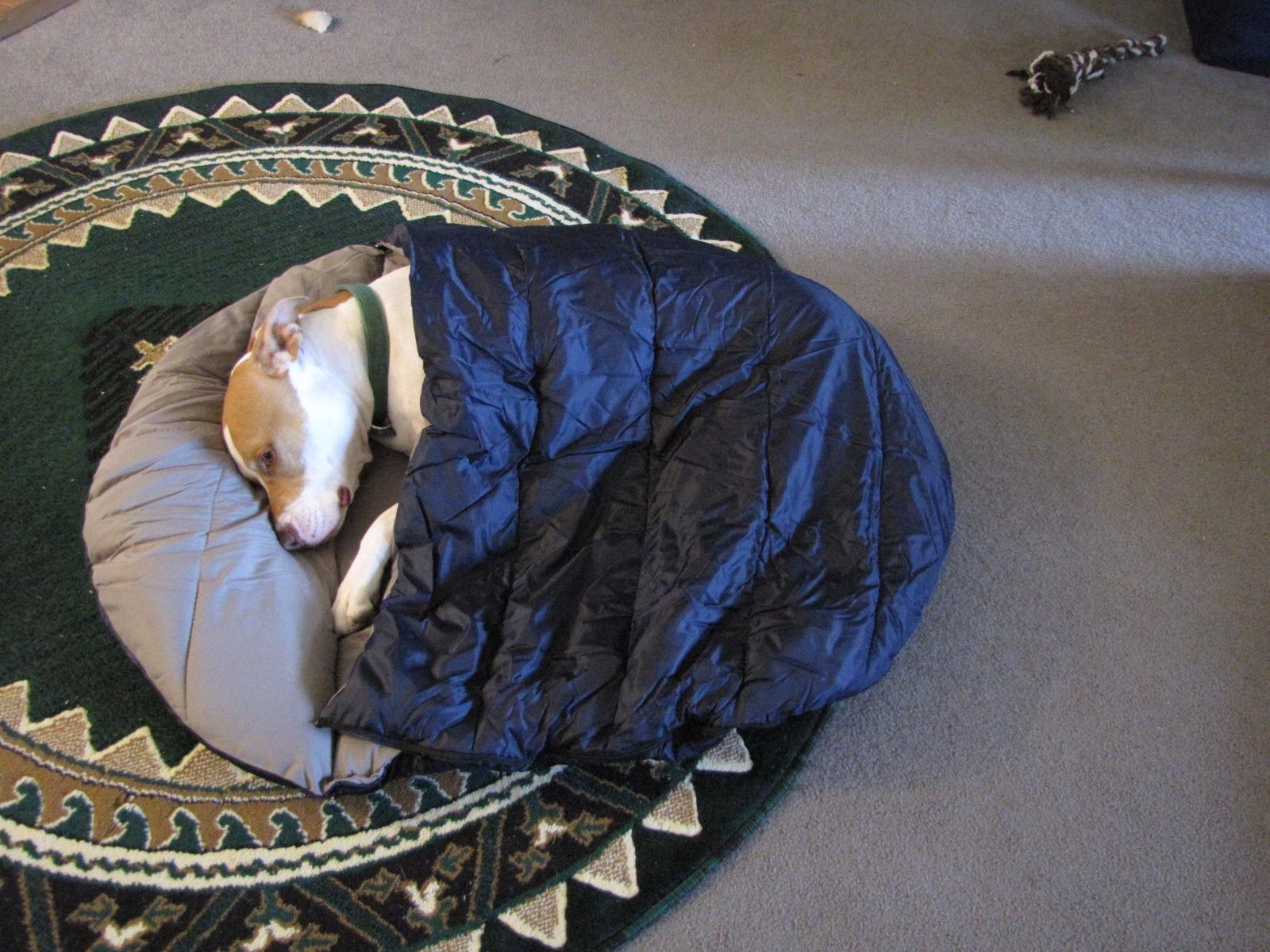 Pet Sleeping Bag - Large customer photo 1