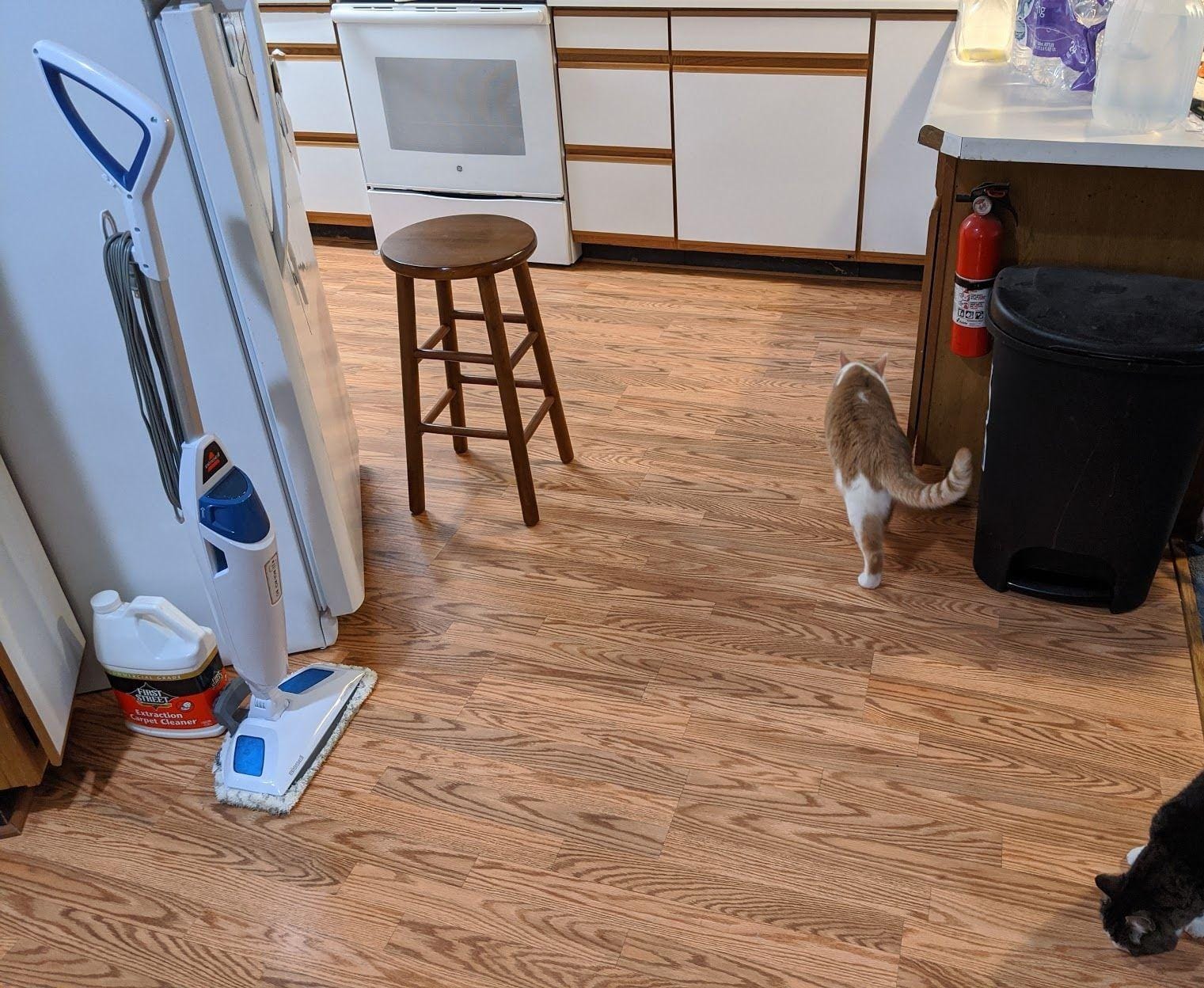 BISSELL Steam Mop 1940A PowerFresh Floor Steam Cleaner for Hard Wood & Tile with Natural Sanitization, Easy Scrubber, Variable Steam, 12” Cleaning Path customer photo 2