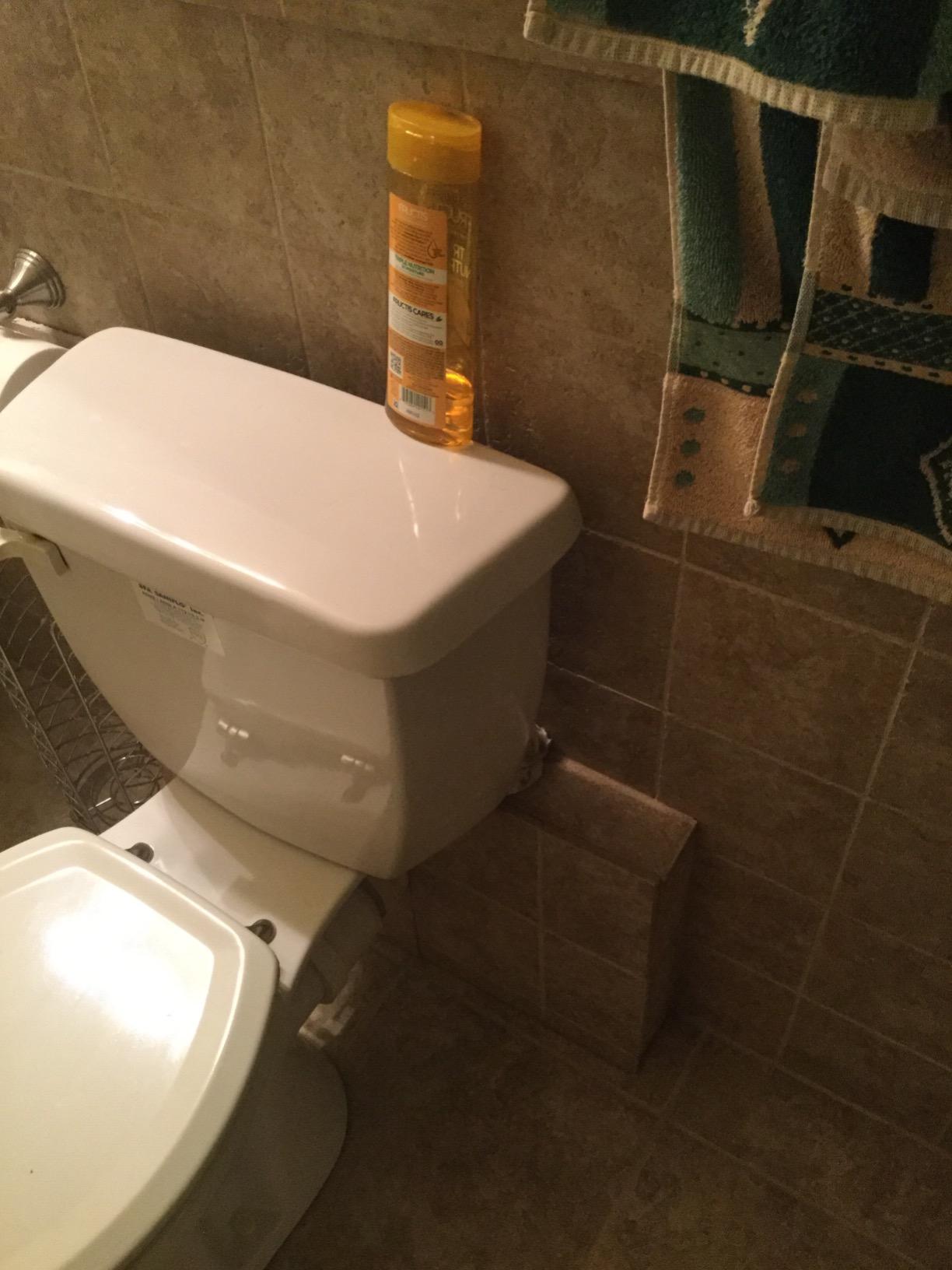 Saniflo SaniPLUS: Macerating Upflush Toilet Kit (with Standard Bowl) customer photo 2