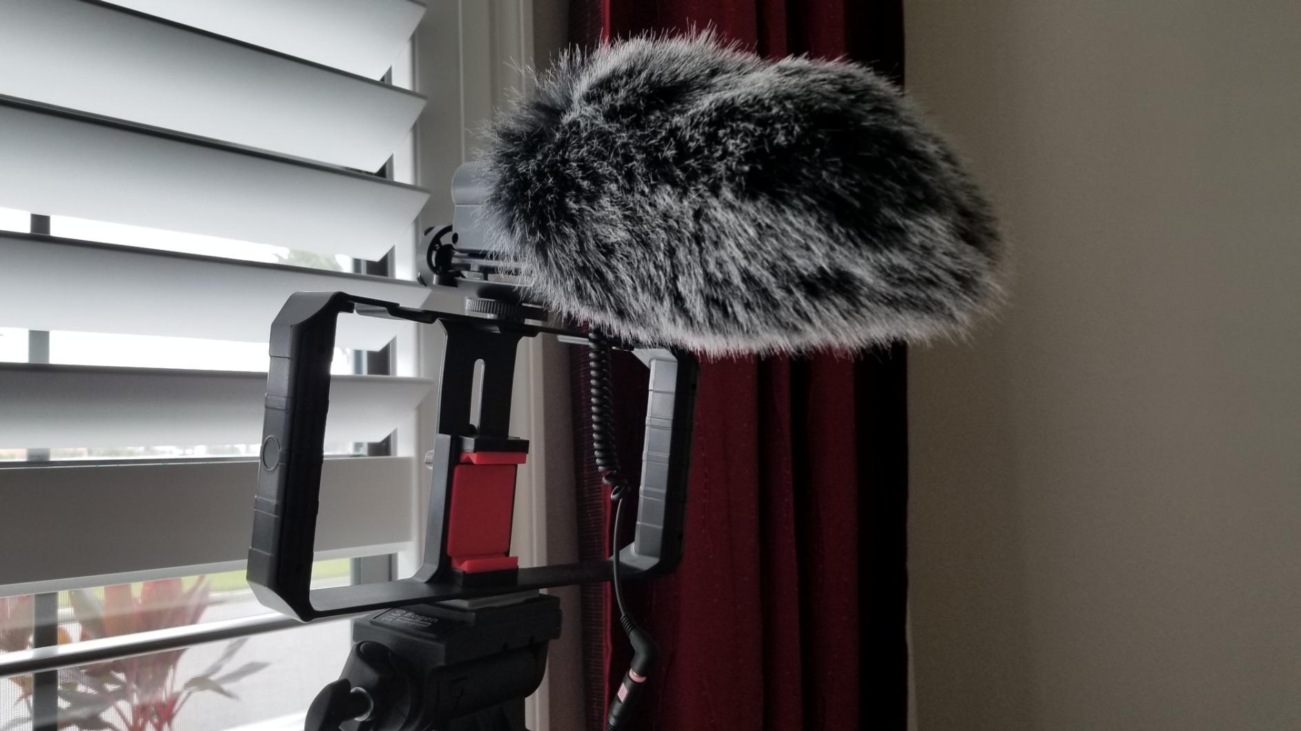 TAKSTAR SGC-598 Interview Microphone for Nikon/Canon Camera/DV Camcorder customer photo 2