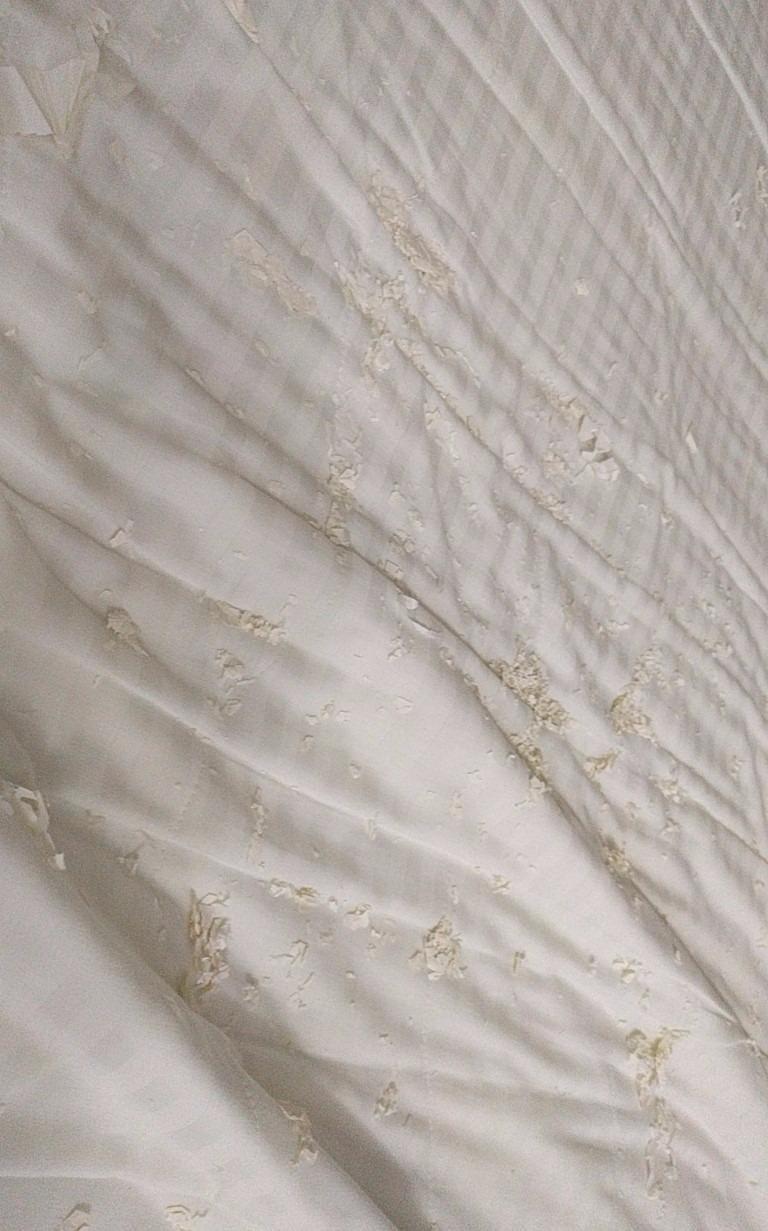 SureGuard Waterproof Mattress Protector, Queen Size Mattress Cover customer photo 1