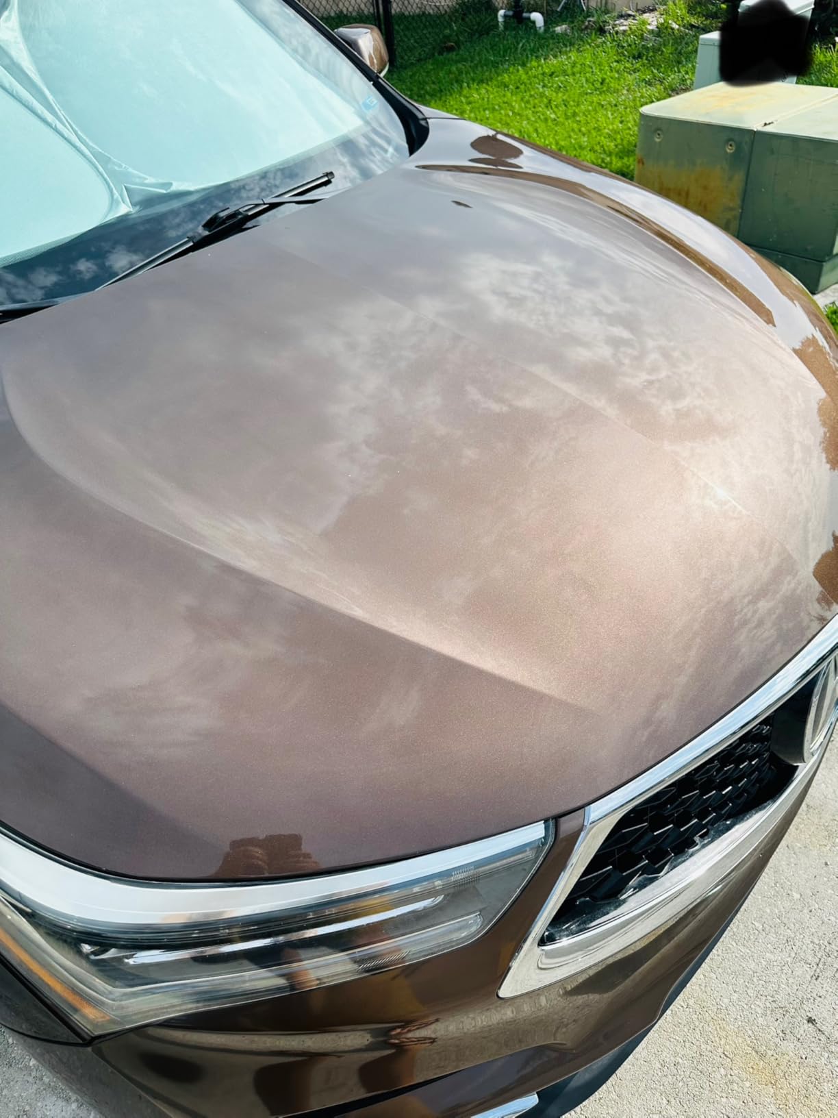 Chemical Guys, Butter Wet Wax, Deep Wet Shine Liquid Car Wax, Banana, 16 oz customer photo 2
