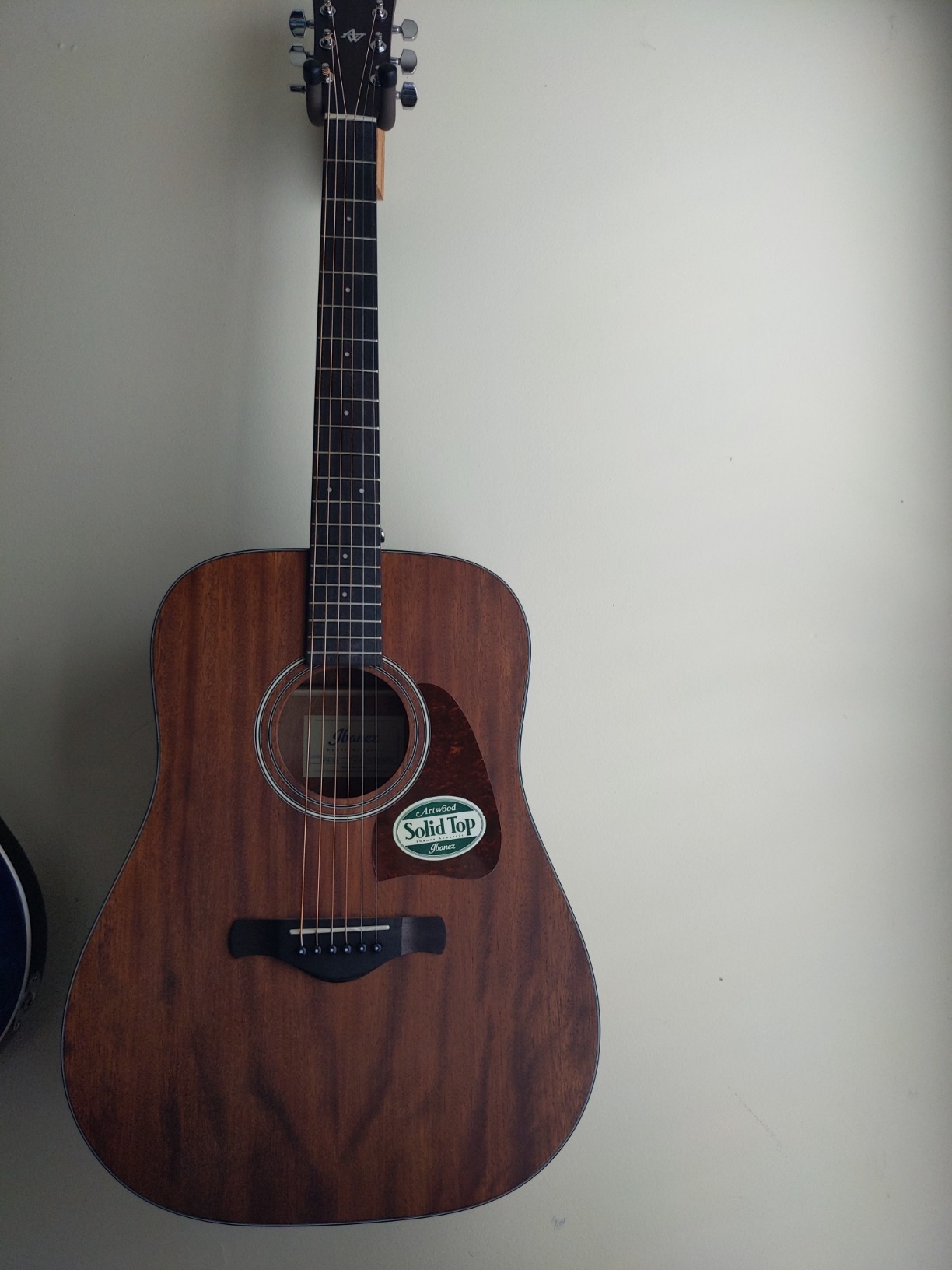 Ibanez Artwood Dreadnought Acoustic Guitar-Open Pore Natural customer photo 1