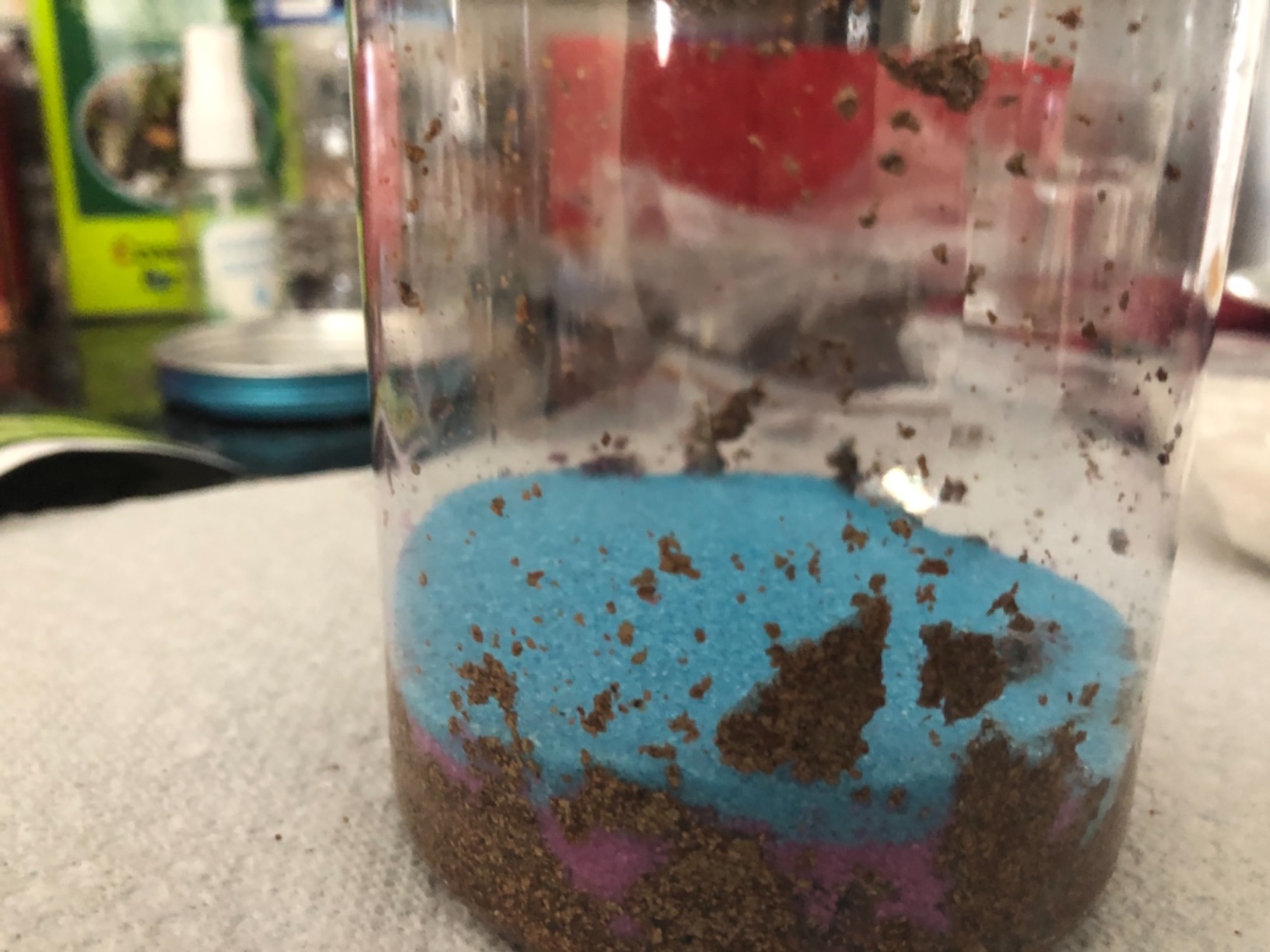 Creativity for Kids Grow 'N Glow Terrarium Kit - Educational Science Kits | Screen Free Summer Fun Activities | Gifts for Boys and Girls | Craft and STEM Projects (Ages 6+) customer photo 1