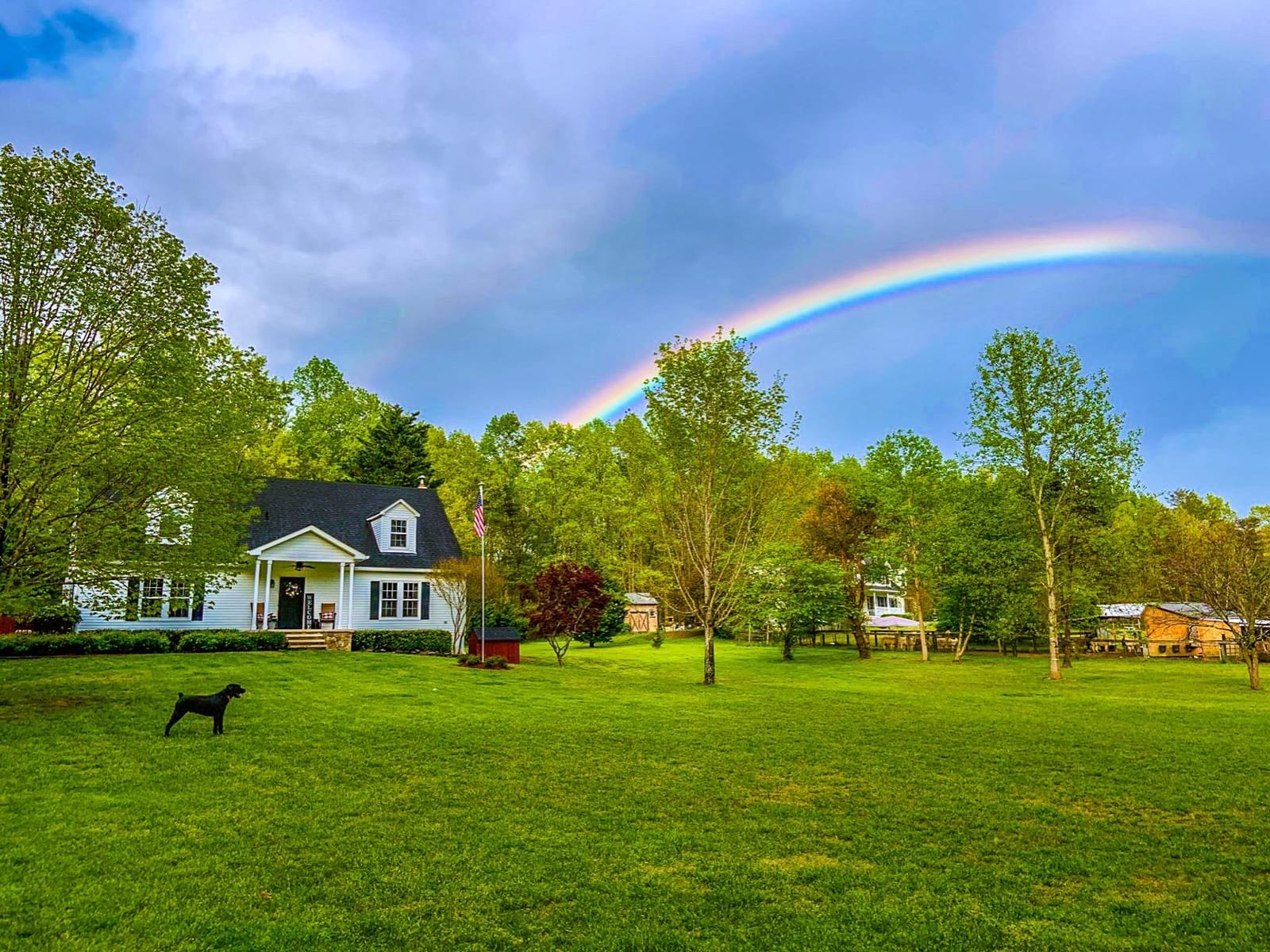 PetSafe Basic In-Ground Fence, Up to 1/3 Acre customer photo 2