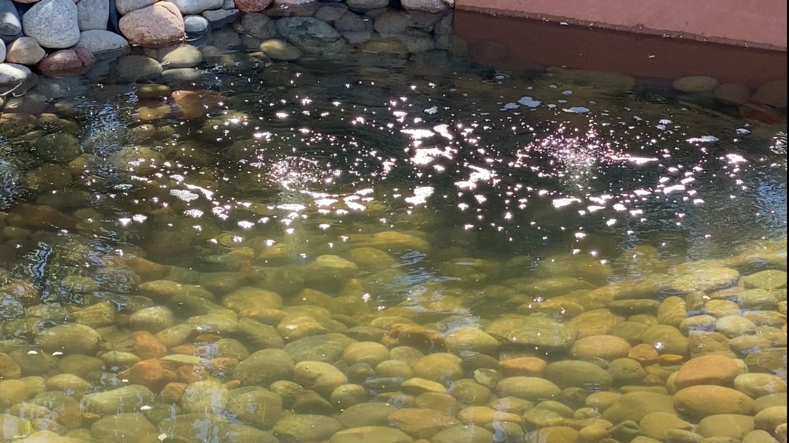 CrystalClear PondAir 2 Complete Aeration Kit, Koi & Fish Ponds Bubbler customer photo 1