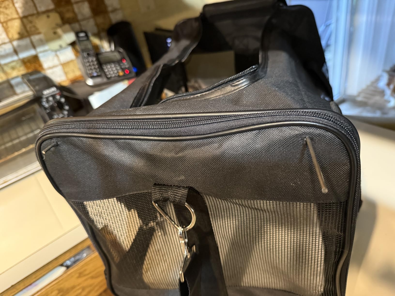 Amazon Basics Airline Approved Soft-Sided Mesh Pet Travel Carrier with Shoulder Strap, Removable Washable Fleece Pad, Top Opening, Ventilation for Dog, Cat, up to 22 pounds, 19.7Lx12Wx12H in., Black customer photo 1