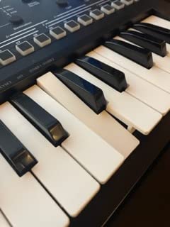 Roland JD-XI 37-Key Interactive Analog/Digital Crossover Synthesizer, Black customer photo 2