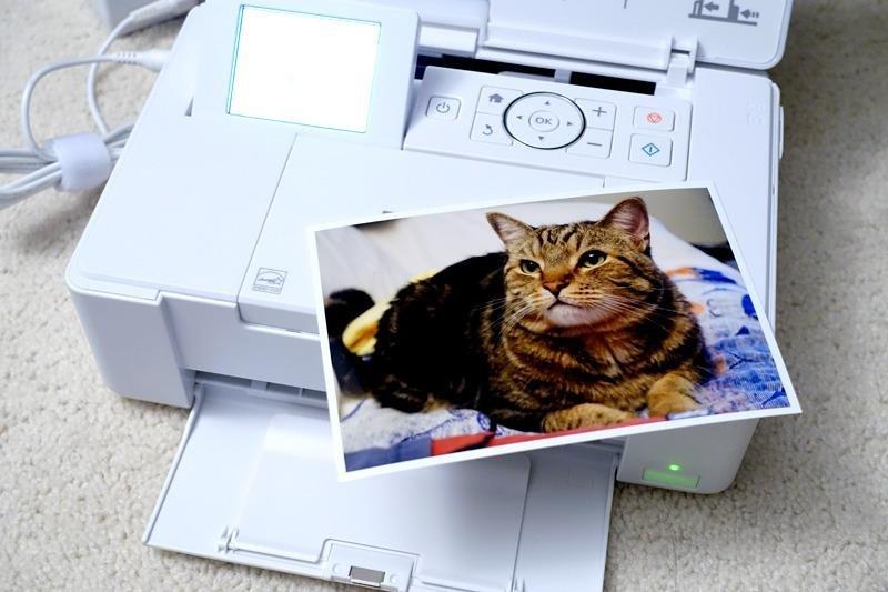 Epson PictureMate PM-400 Wireless Compact Photo Printer customer photo 1
