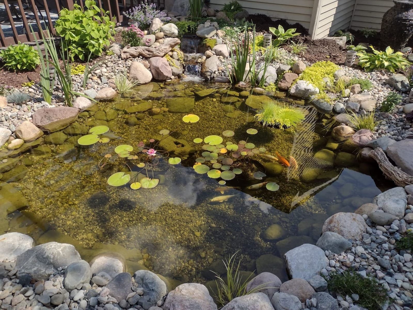 Aquascape Complete Pond Kit 11 Feet x 16 Feet | Medium | AquaSurgePRO 2000-4000 Pump customer photo 1