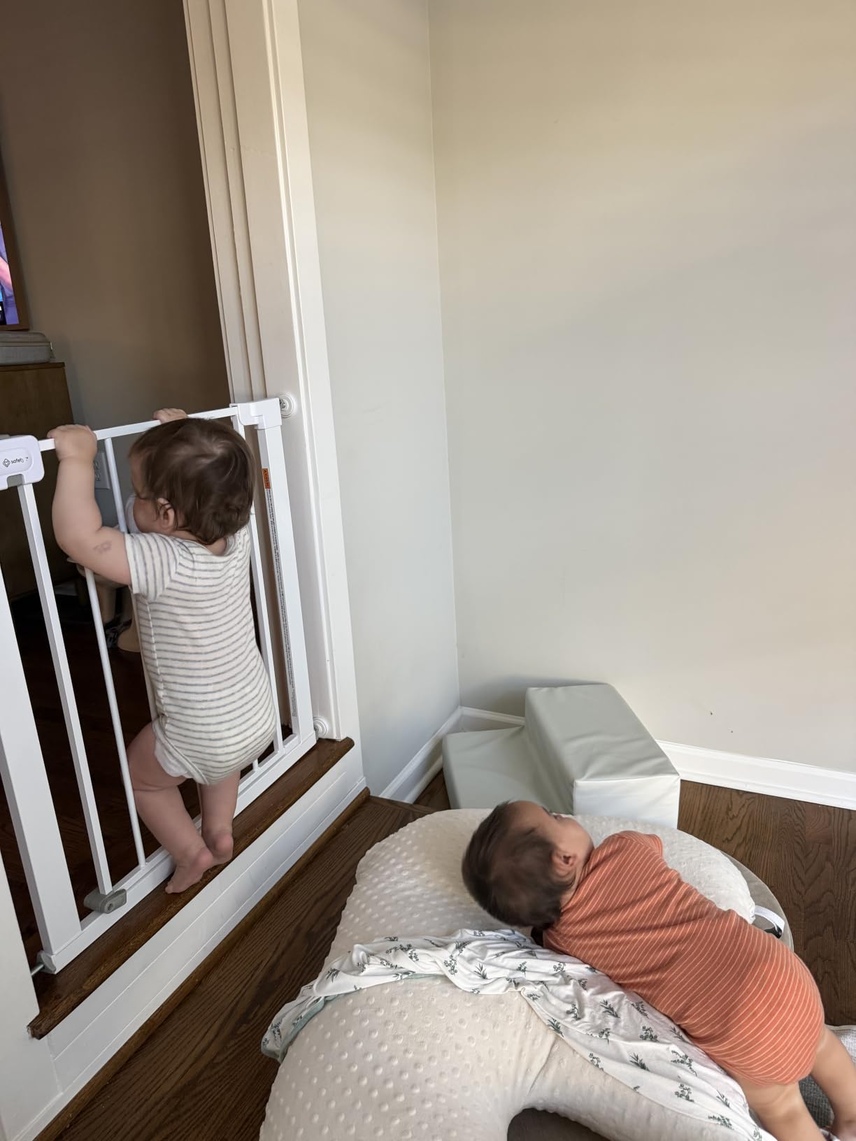 Safety 1st Easy Install Walk Thru Baby Gate for Doorway With Door, Dog Gates, Fits 29