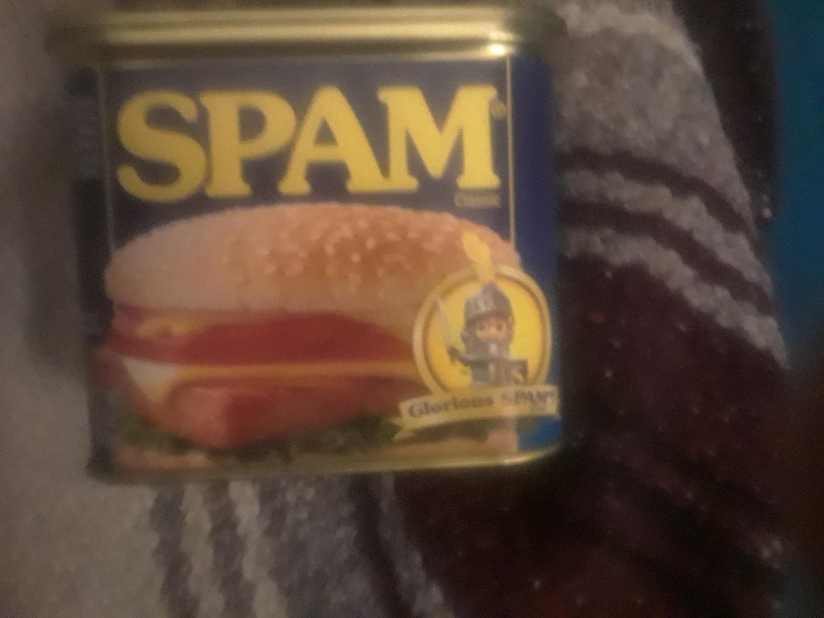 BigMouth Spam Diversion Can Safe, Hidden Stash Container for Valuables, Realistic Weighted Secret Compartment customer photo 2