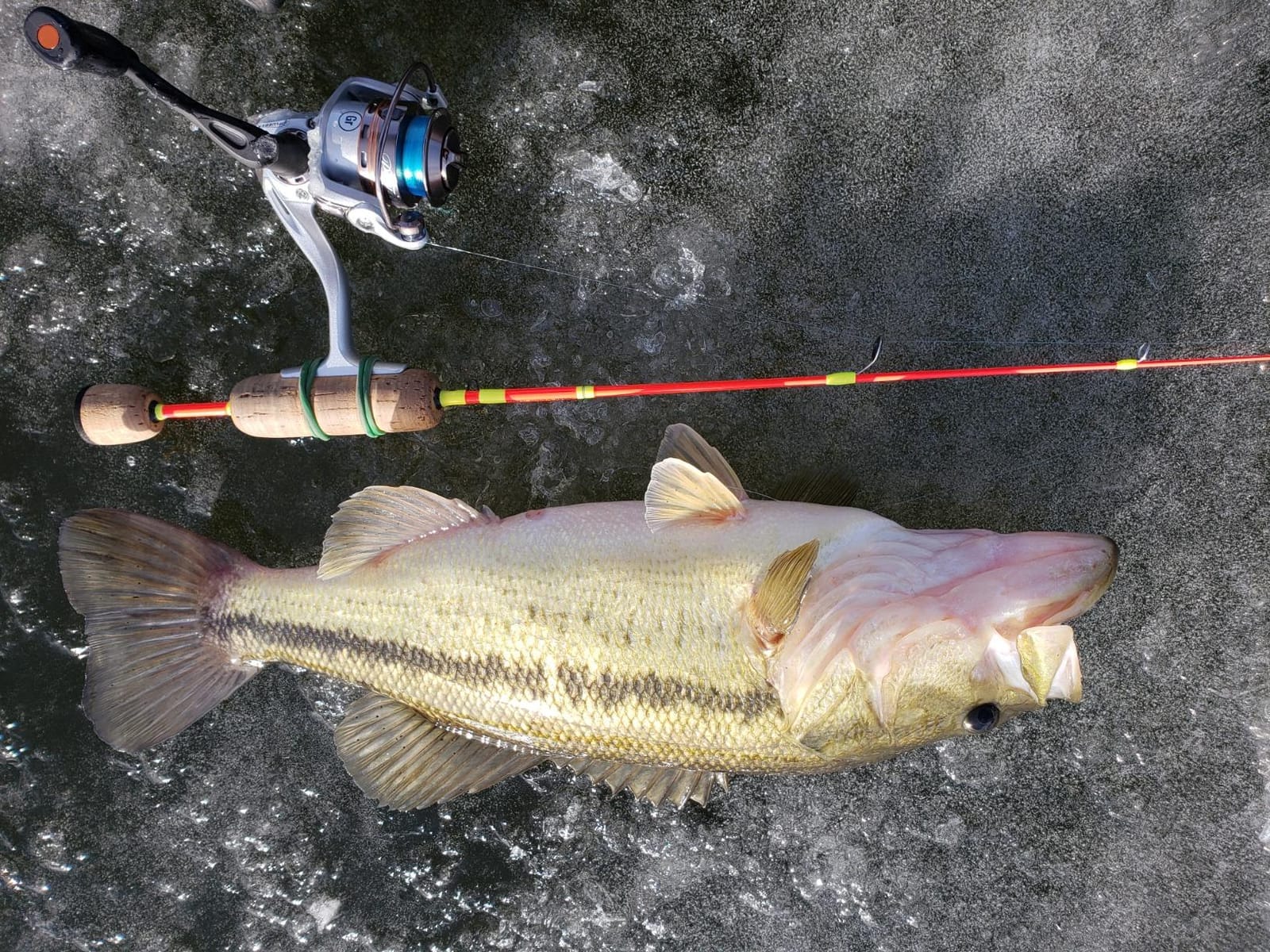 Pflueger MONICEB Monarch Ice Spinning Reel customer photo 2