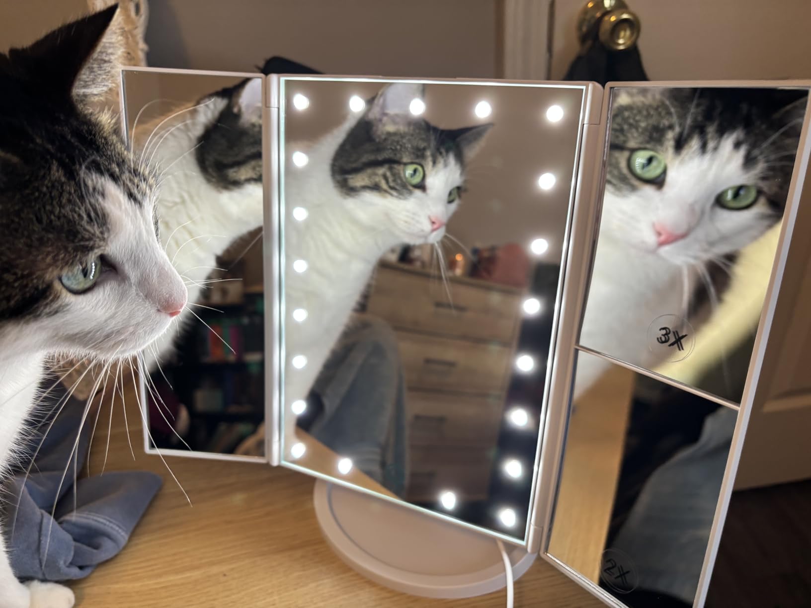 WEILY Makeup Mirror with 21 LED Lights,Two Power Supply Modes customer photo 1