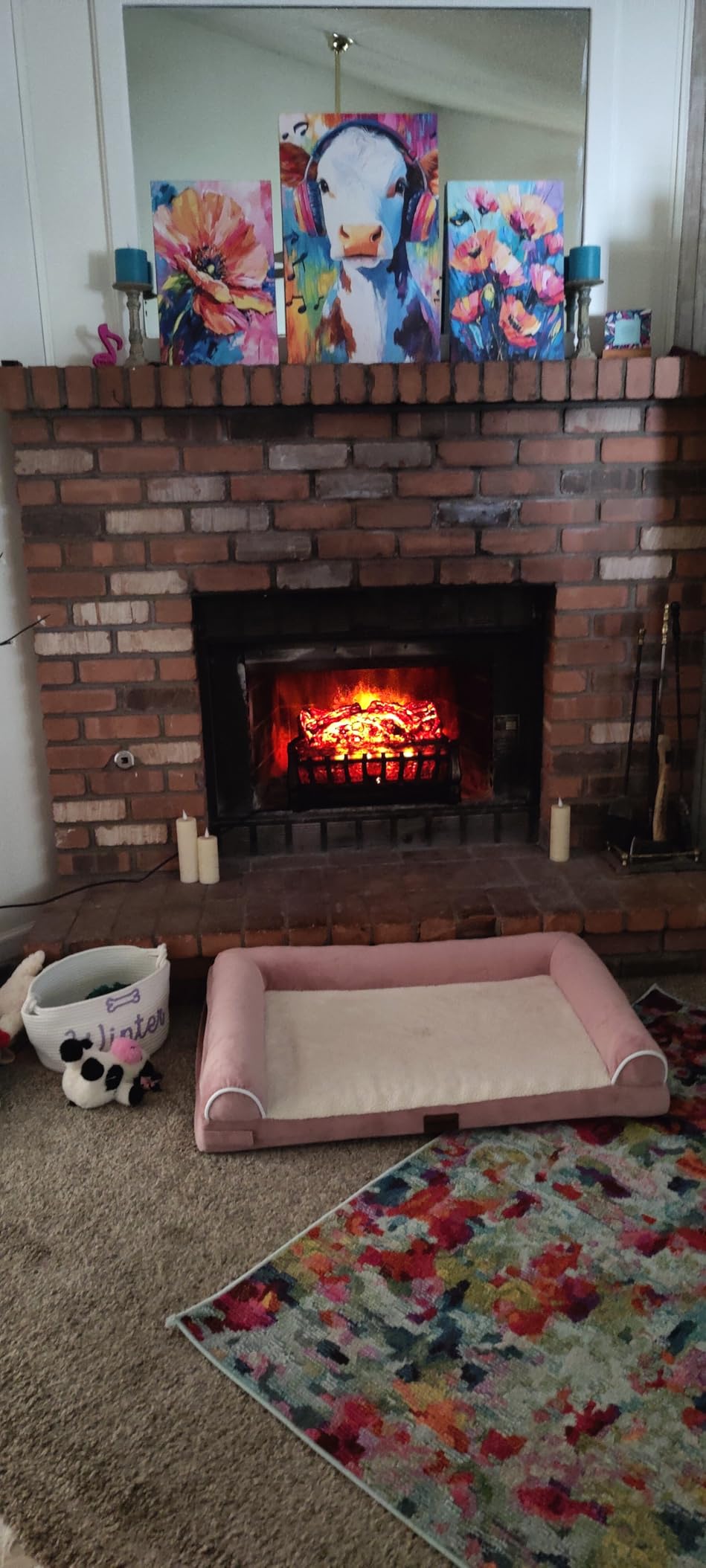Comfort Glow ELCG251 Electric Log Heater Insert with Flame Projection 5,120 BTUs , Black customer photo 2