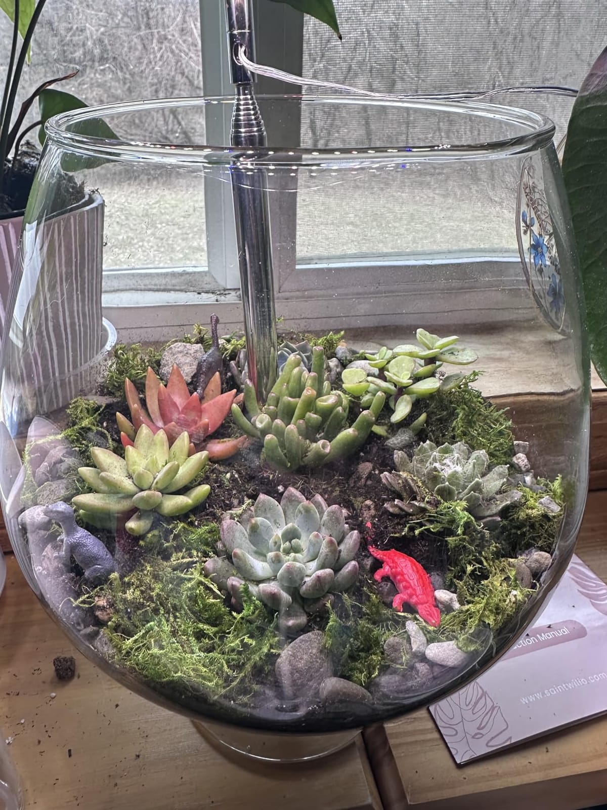 Cute Farms Terrarium Starter Kit | Moss, Vermiculite, Soil, Pebbles, Plant Food, Finishing Tools, Build and Care Guide | DIY Succulent Terrarium for Adults and Kids (Large) customer photo 2