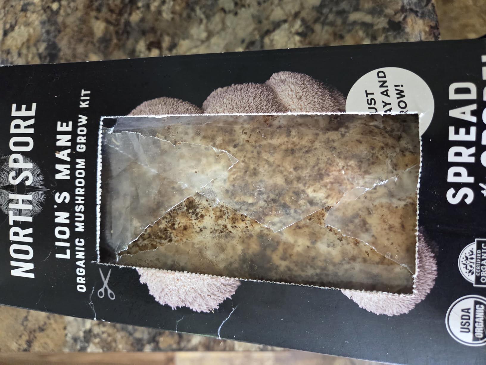 North Spore Organic Lion's Mane Mushroom Grow Kit, 4 lbs customer photo 2