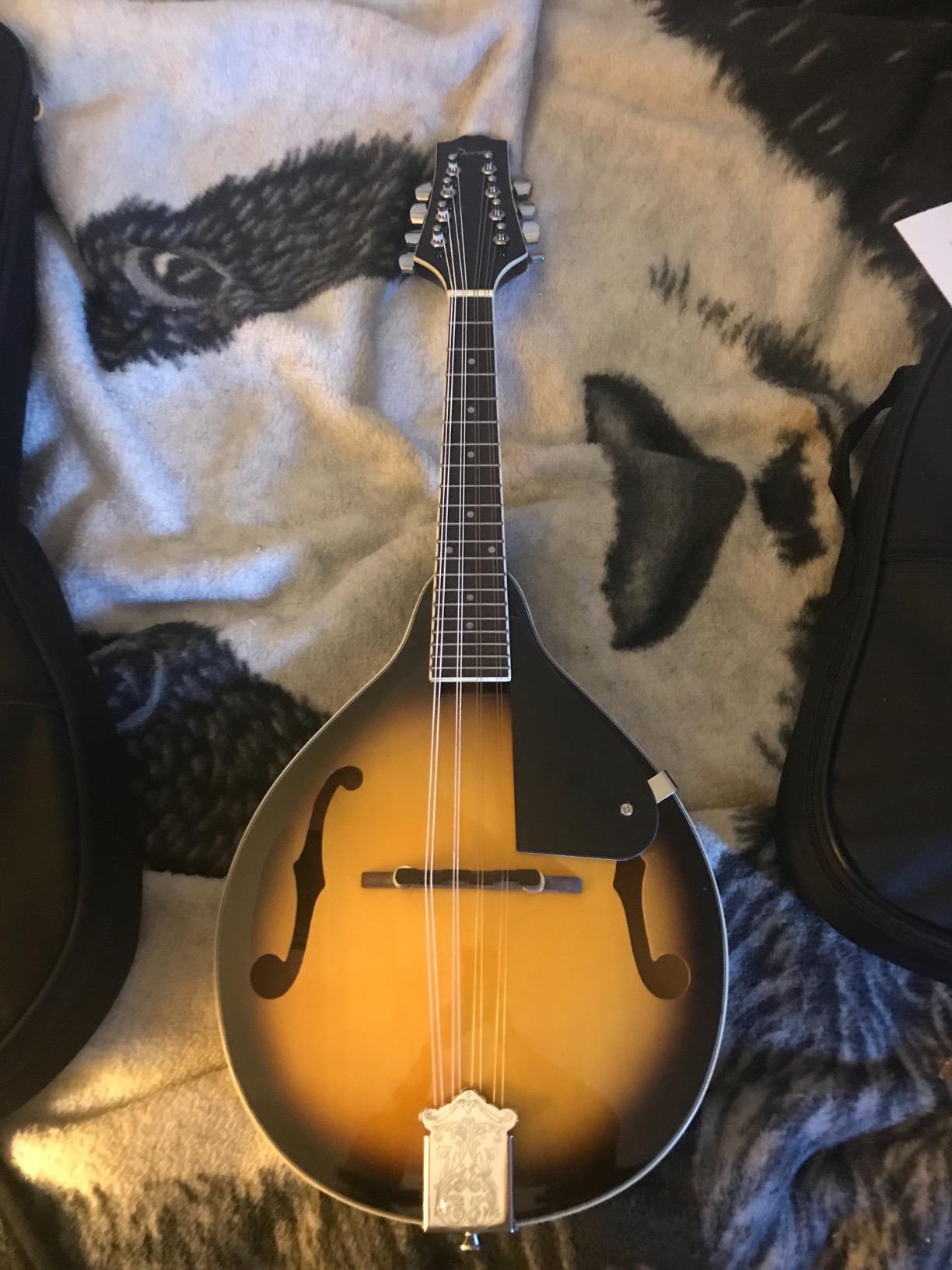 Donner A Style Mandolin Instrument Sunburst Beginner Adult Acoustic Mandolin Musical Instrument Mahogany 8 String, Bundle With Tuner String Bag Guitar Picks,DML-1 customer photo 2