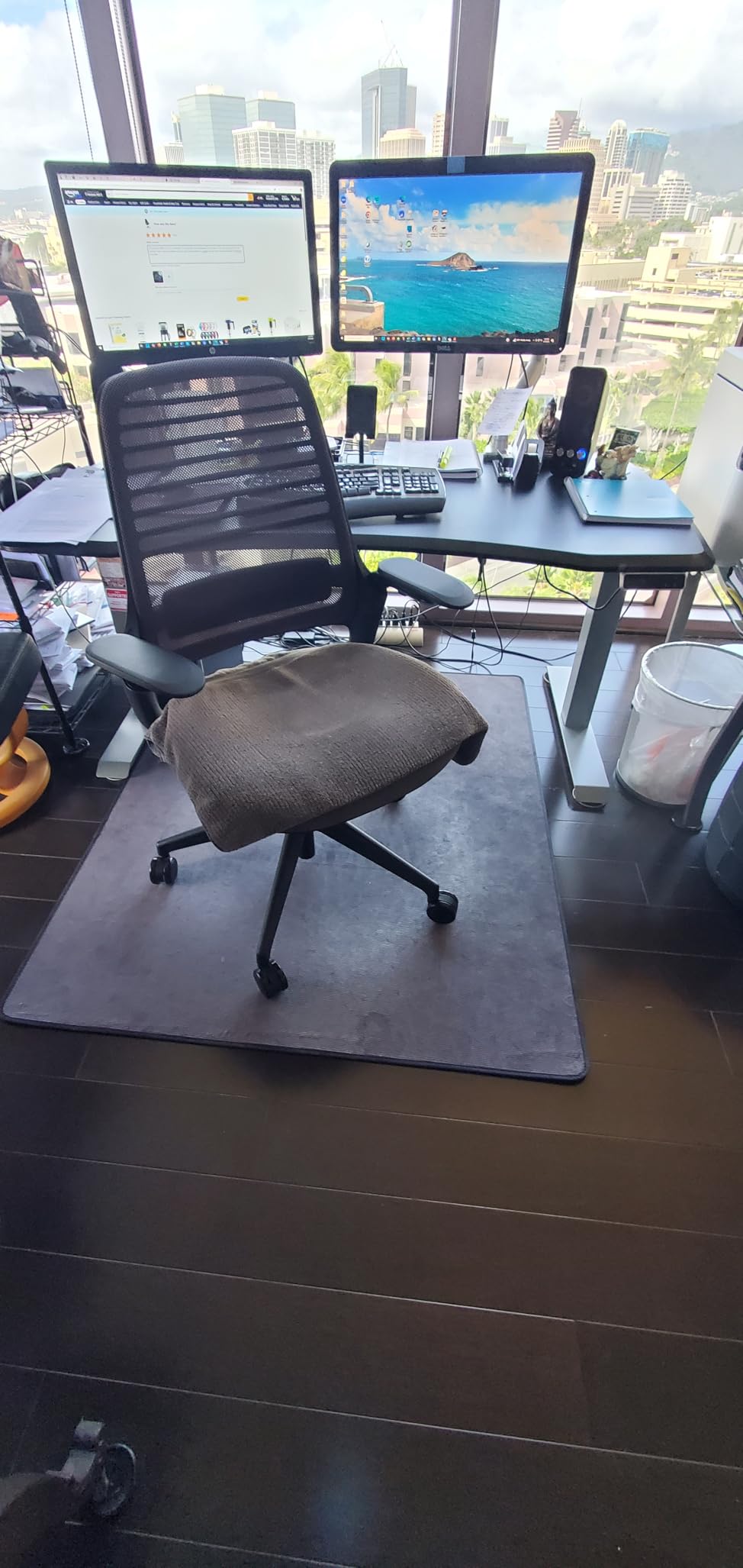 Steelcase Series 1 Ergonomic Office Chair, Carpet Floors, Nickel customer photo 1