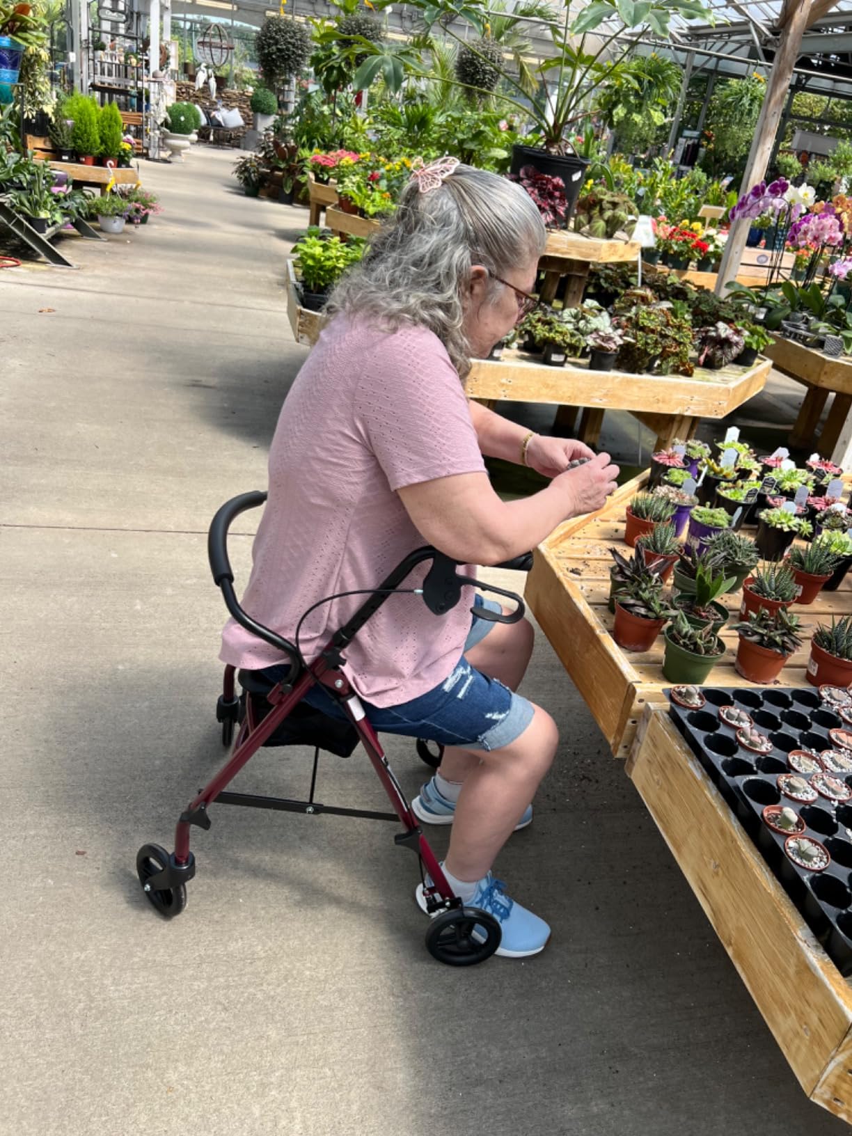 Medline Steel Rollator Walker with Seat, Burgundy, 350 lb. Weight Capacity, 6” Wheels, Foldable, Adjustable Handles, Rolling Walker for Seniors, Walker for Mobility Impaired customer photo 1