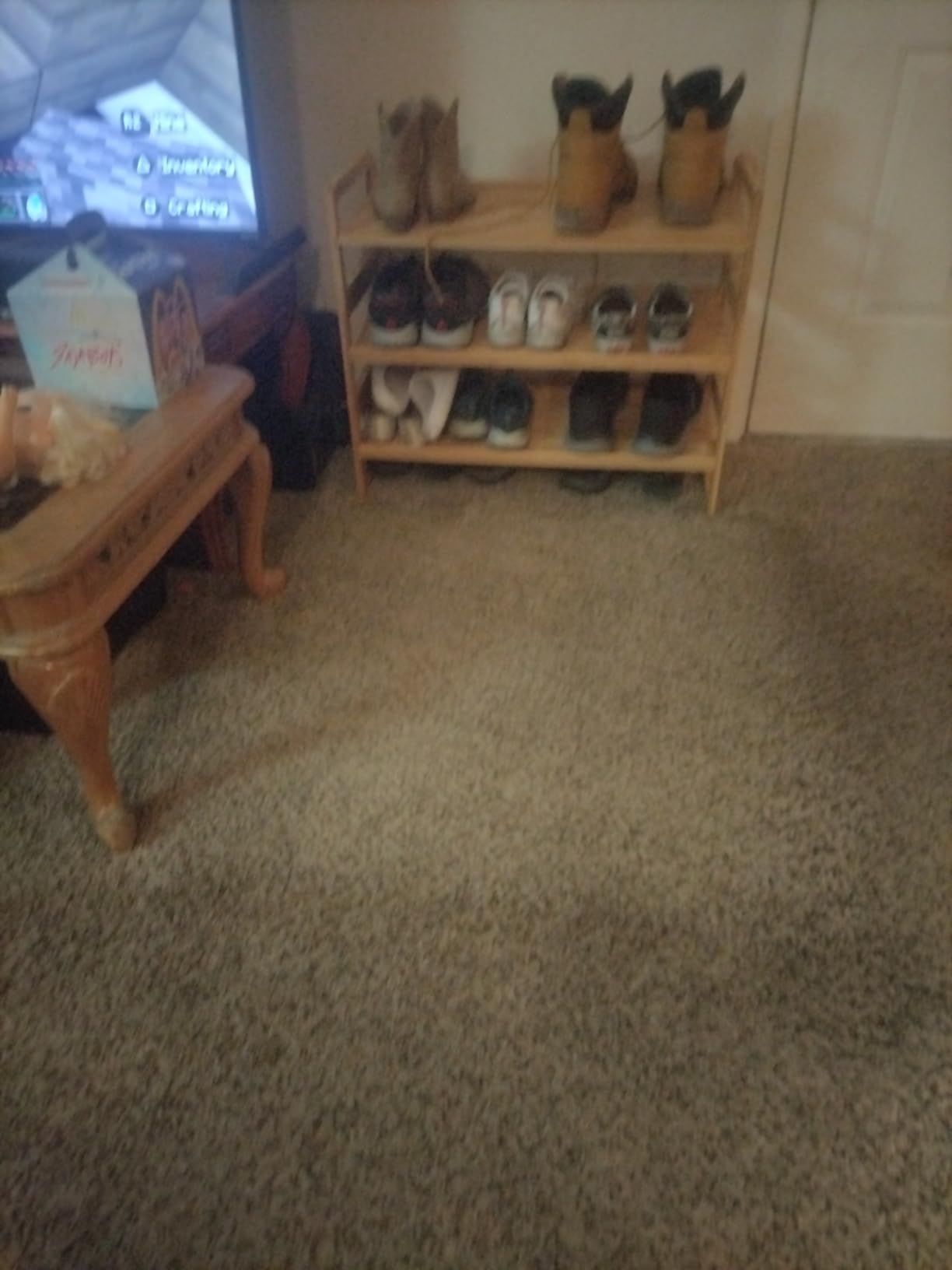 Bissell CrossWave Pet Pro Wet Dry Vacuum Mop, Hard Floors, 2306A customer photo 2