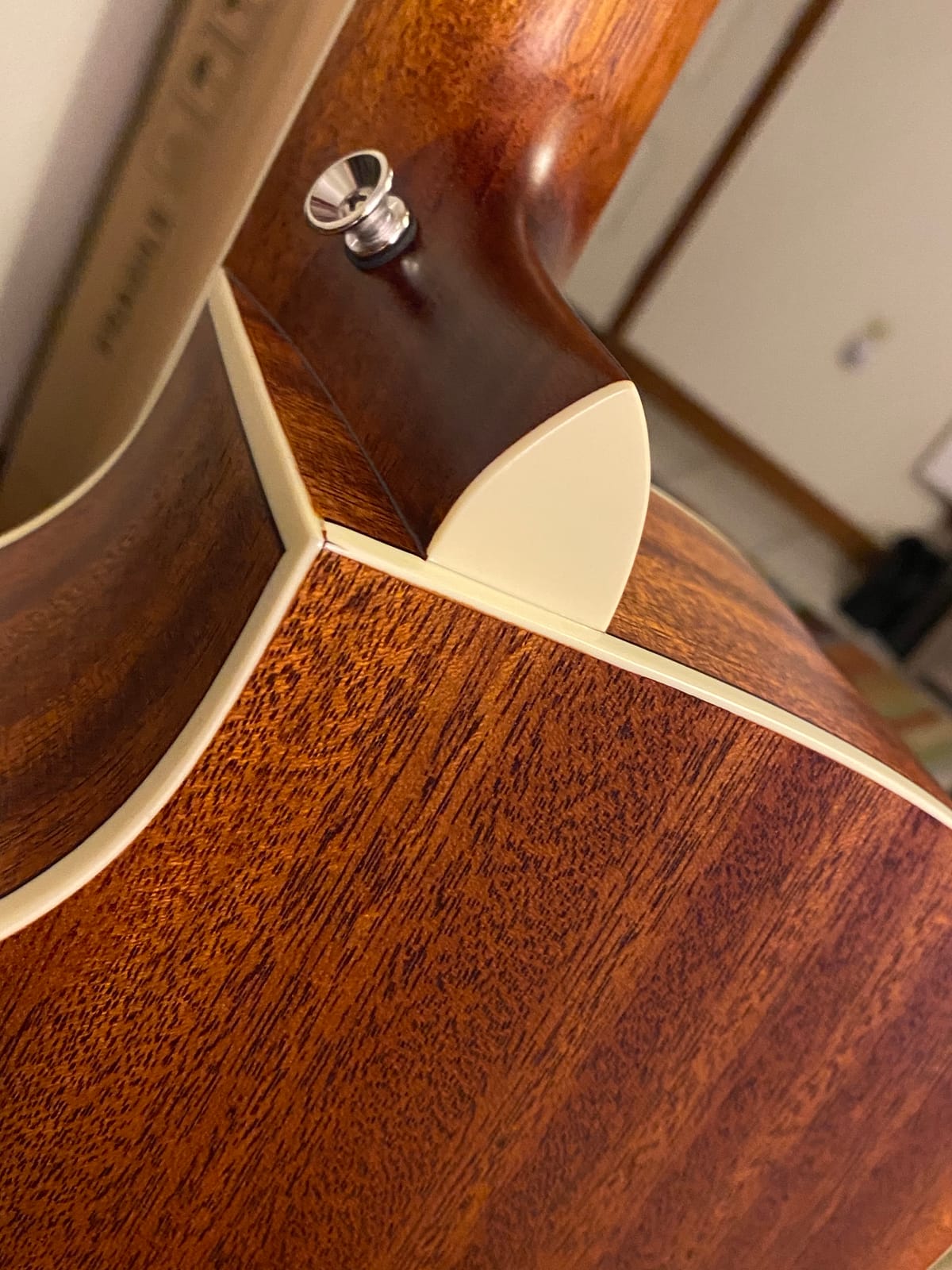 Orangewood Rey Cutaway Style Acoustic Guitar with Mahogany Top customer photo 1