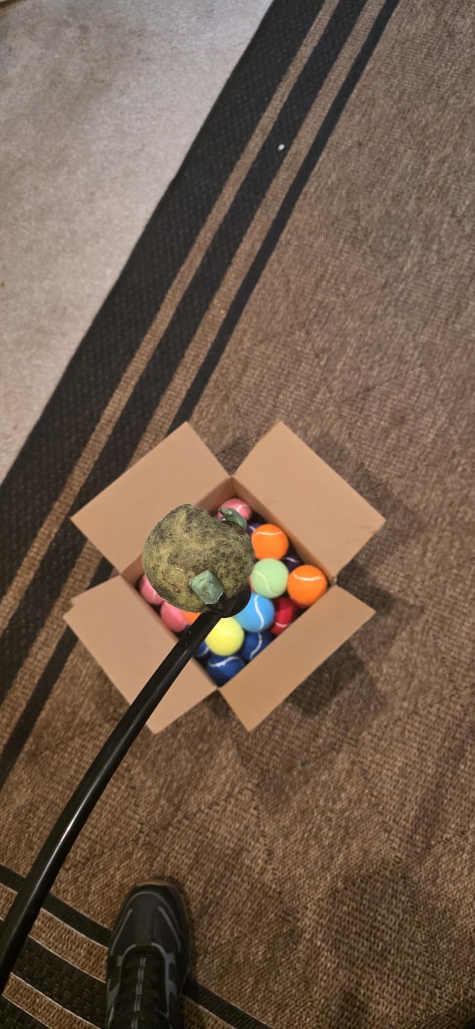 Franklin Pet Supply FETCH-IT LAUNCHER Tennis Ball Thrower customer photo 2