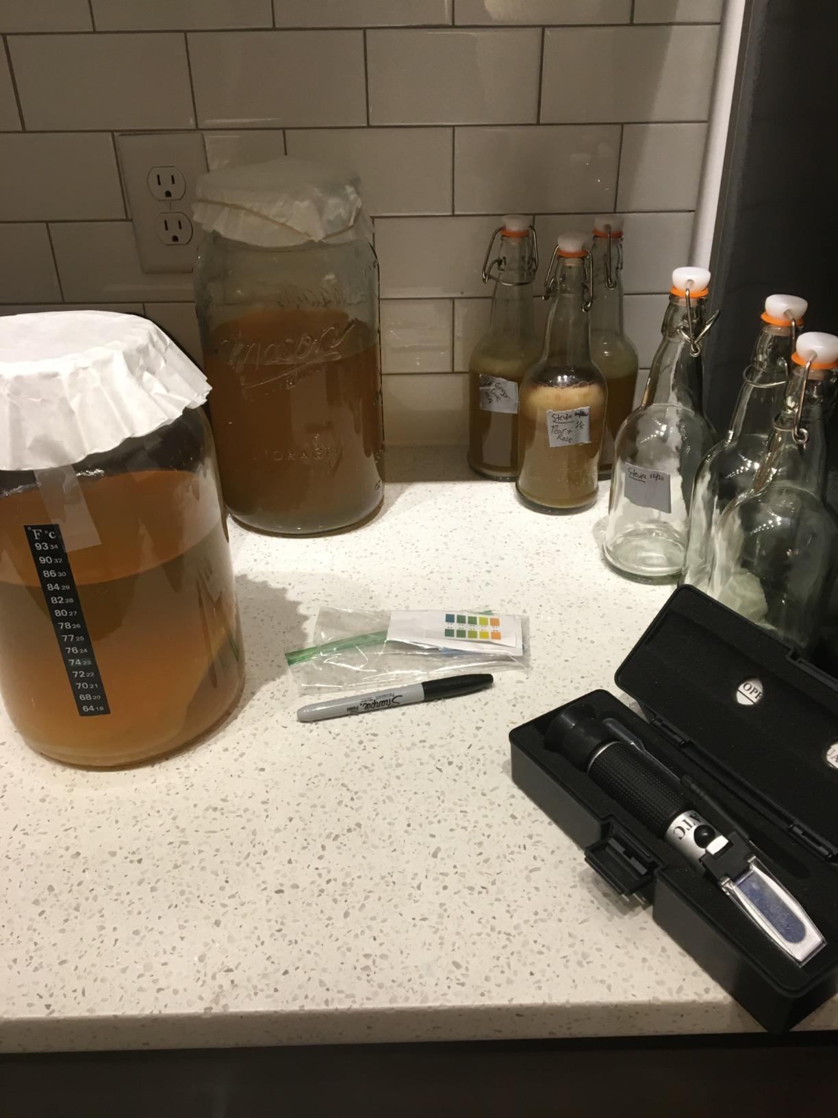 Kombucha Starter Kit with Everything to Brew Kombucha at Home. Kombucha Brewing Kit with SCOBY, Starter Tea, Organic Sugar, pH Strips, Thermometer Strip, Instructions, & More customer photo 1