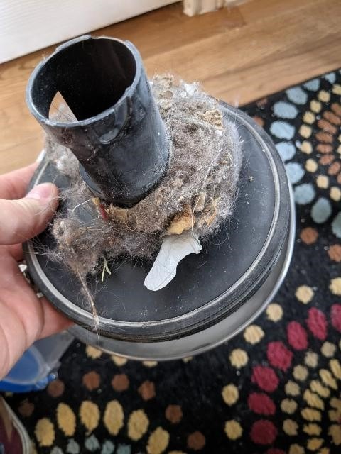 Eureka Whirlwind Bagless Canister Cleaner NEN110A Lightweight Corded Vacuum for Carpets and Hard Floors, Blue customer photo 2