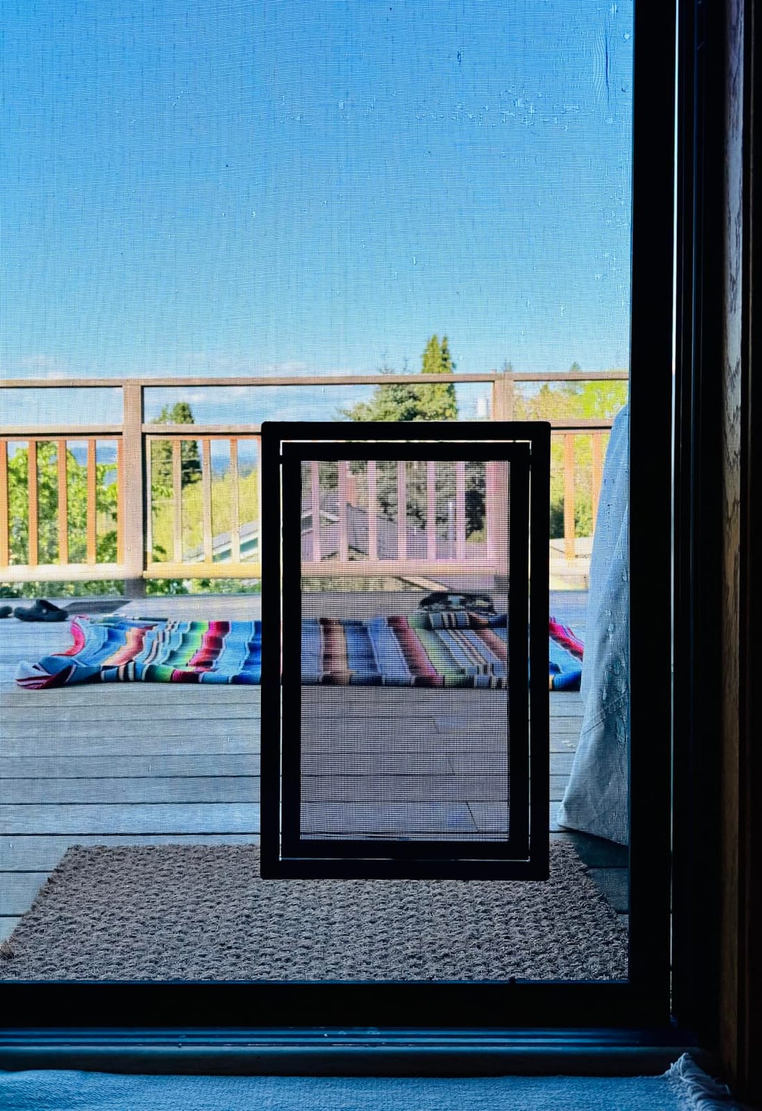 PetSafe Screen Door for Dogs & Cats, Up to 100 lb, Large customer photo 1
