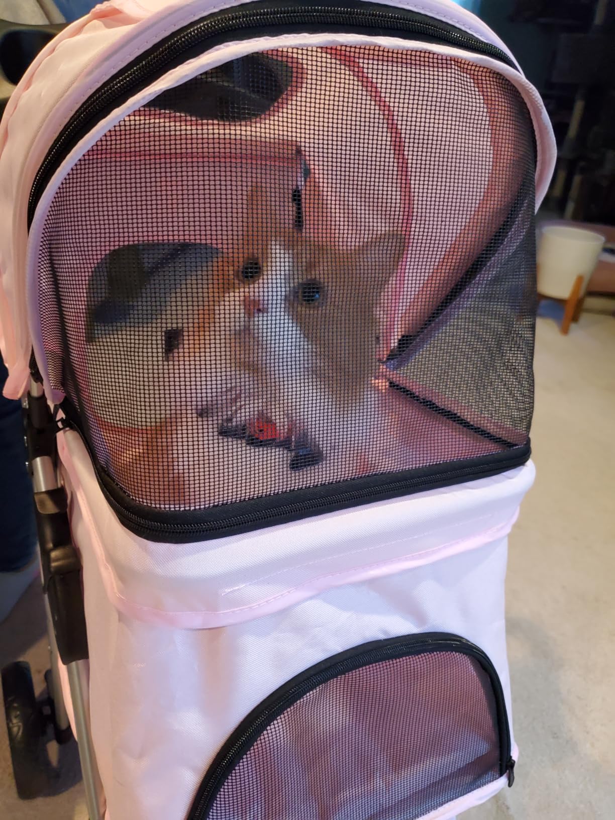 TRIXIE Foldable Pet Stroller for Cats and Dogs, Pet Carrier Strolling Cart with Weather Cover, Storage Basket, Cup Holder, Black customer photo 1
