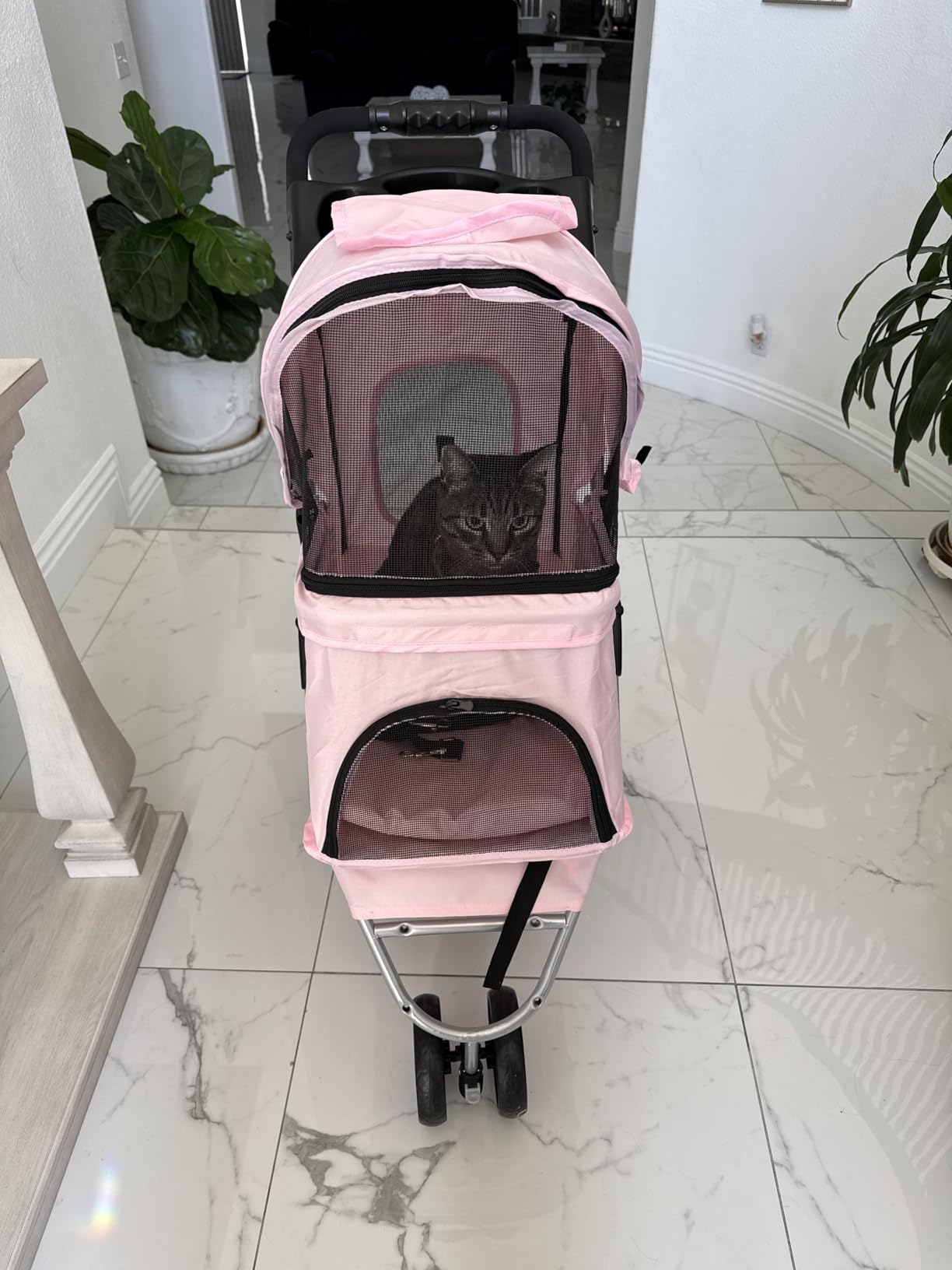 TRIXIE Foldable Pet Stroller for Cats and Dogs, Pet Carrier Strolling Cart with Weather Cover, Storage Basket, Cup Holder, Black customer photo 2