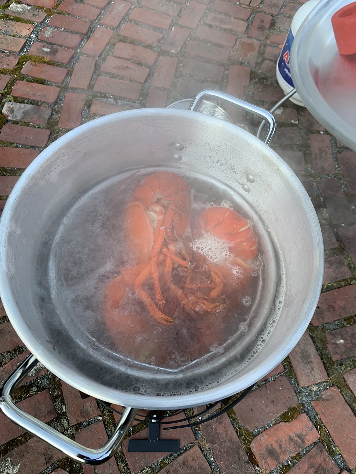 Barton 30 Qt Turkey Fryer & Seafood Boiler Kit, 37,000 BTU Propane Outdoor Deep Fryer Fish Fry Pot, Steamer Basket, Lid, Burner Stand, Regulator & Marinade Injector for Crawfish, Clam & Cajun Boils customer photo 2