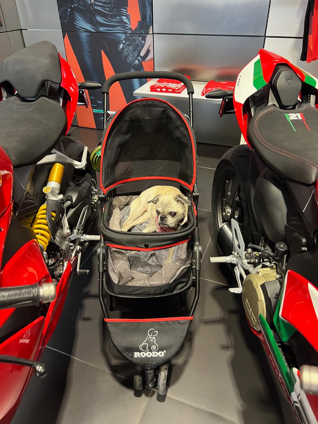 ROODO Escort 3 Wheel Dog Cat Pet Stroller for Small/Medium Dogs Cats Best Lightweight Foldable Portable Compact Jogger Travel All Terrain Pet Gear System Puppy Doggie Bunny Kitty Stroller(Black) customer photo 1