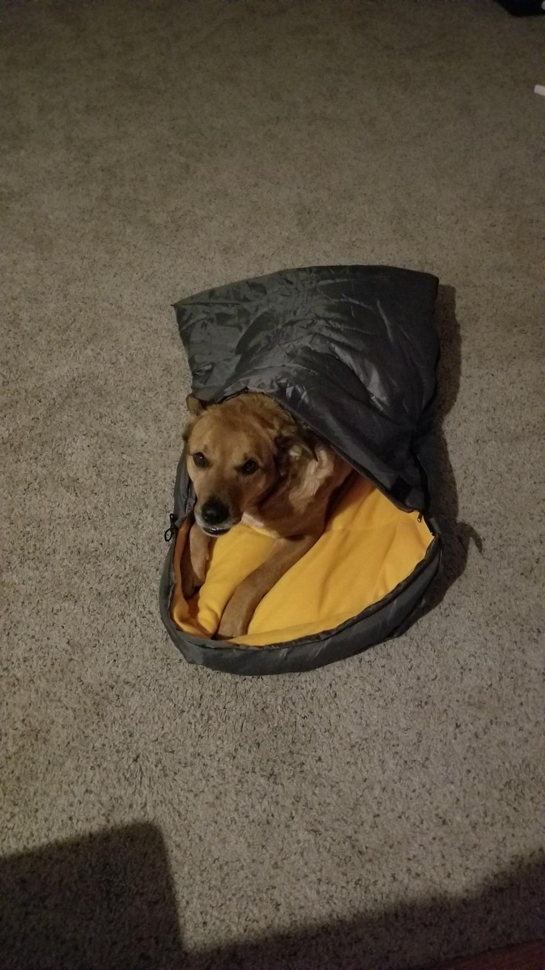 Lifeunion Dog Sleeping Bag with Storage Bag customer photo 2