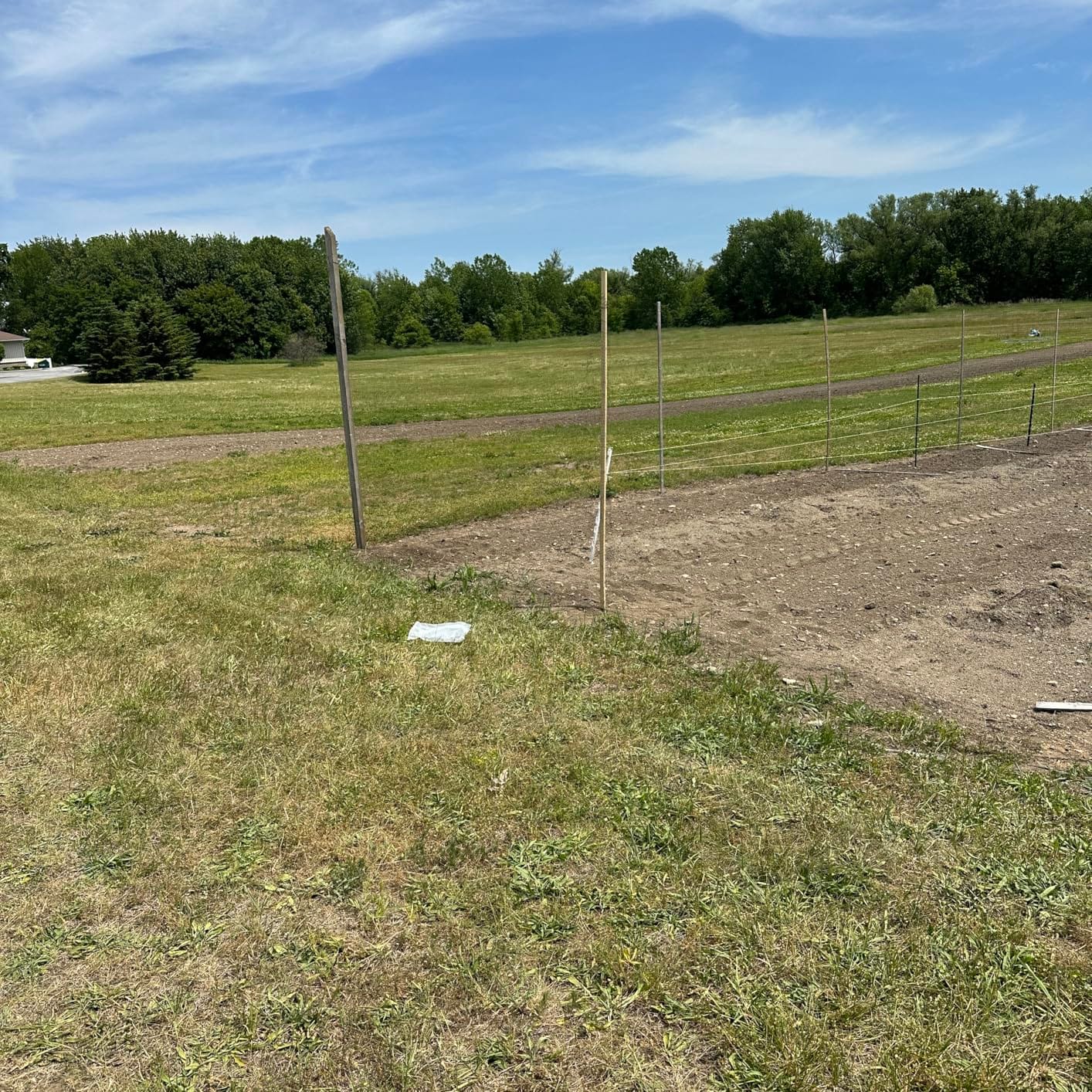 Feitore Deer Fence Netting, 7x100ft Garden Net Bird Netting,Reinforced Edge customer photo 2