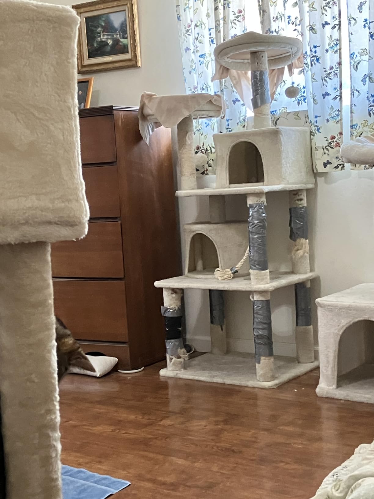 Yaheetech 62.5in Tall Cat Tree w/2 Cat-Ear Perches & 2 Condos, Dark Gray customer photo 1