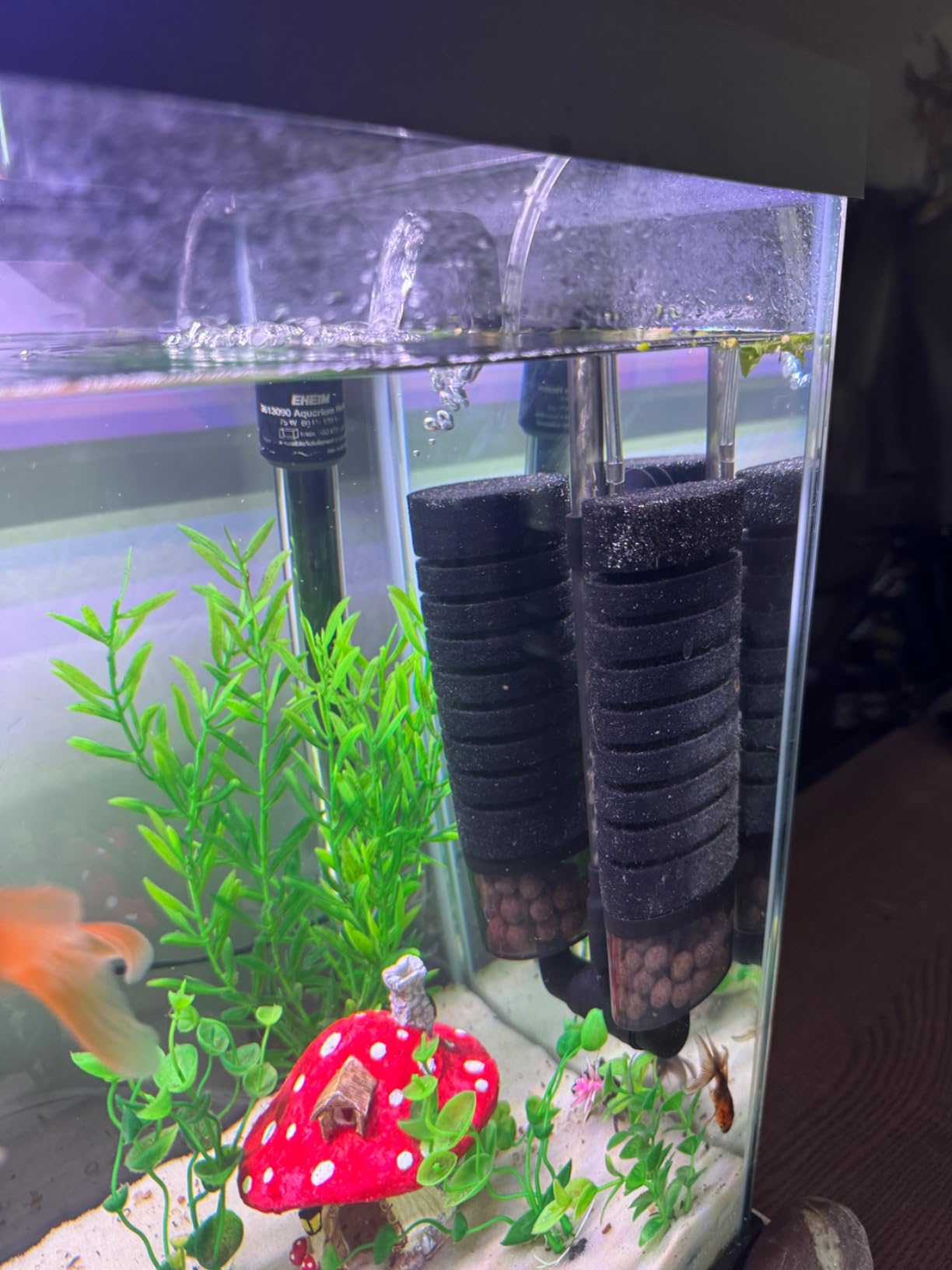 hygger Sponge Filter, Aquarium Filter Double Sponge Replaceable Media with 4 Biochemical Sponges and 1 Bag of Filtered Ceramic Balls Ultra Quiet Filter Fish Tank (S/M) (M for 15 to 55 Gallon Tank) customer photo 1
