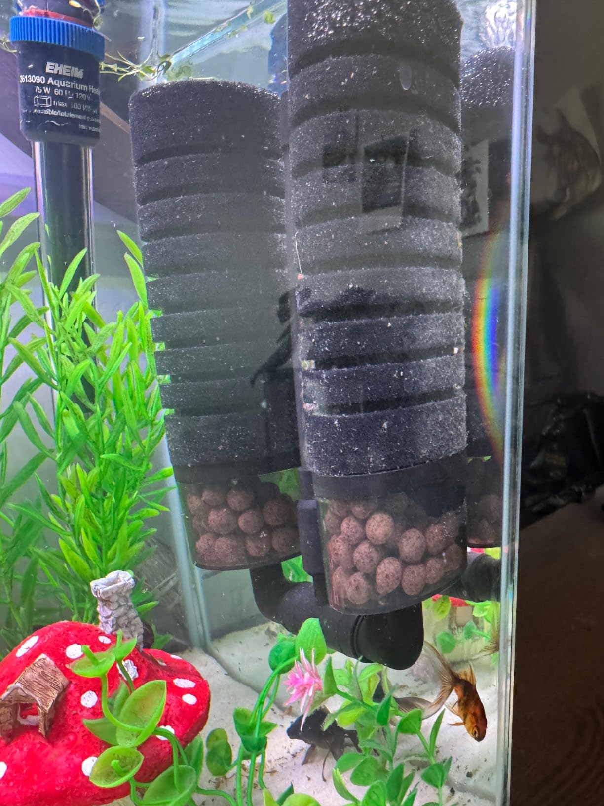 hygger Sponge Filter, Aquarium Filter Double Sponge Replaceable Media with 4 Biochemical Sponges and 1 Bag of Filtered Ceramic Balls Ultra Quiet Filter Fish Tank (S/M) (M for 15 to 55 Gallon Tank) customer photo 2