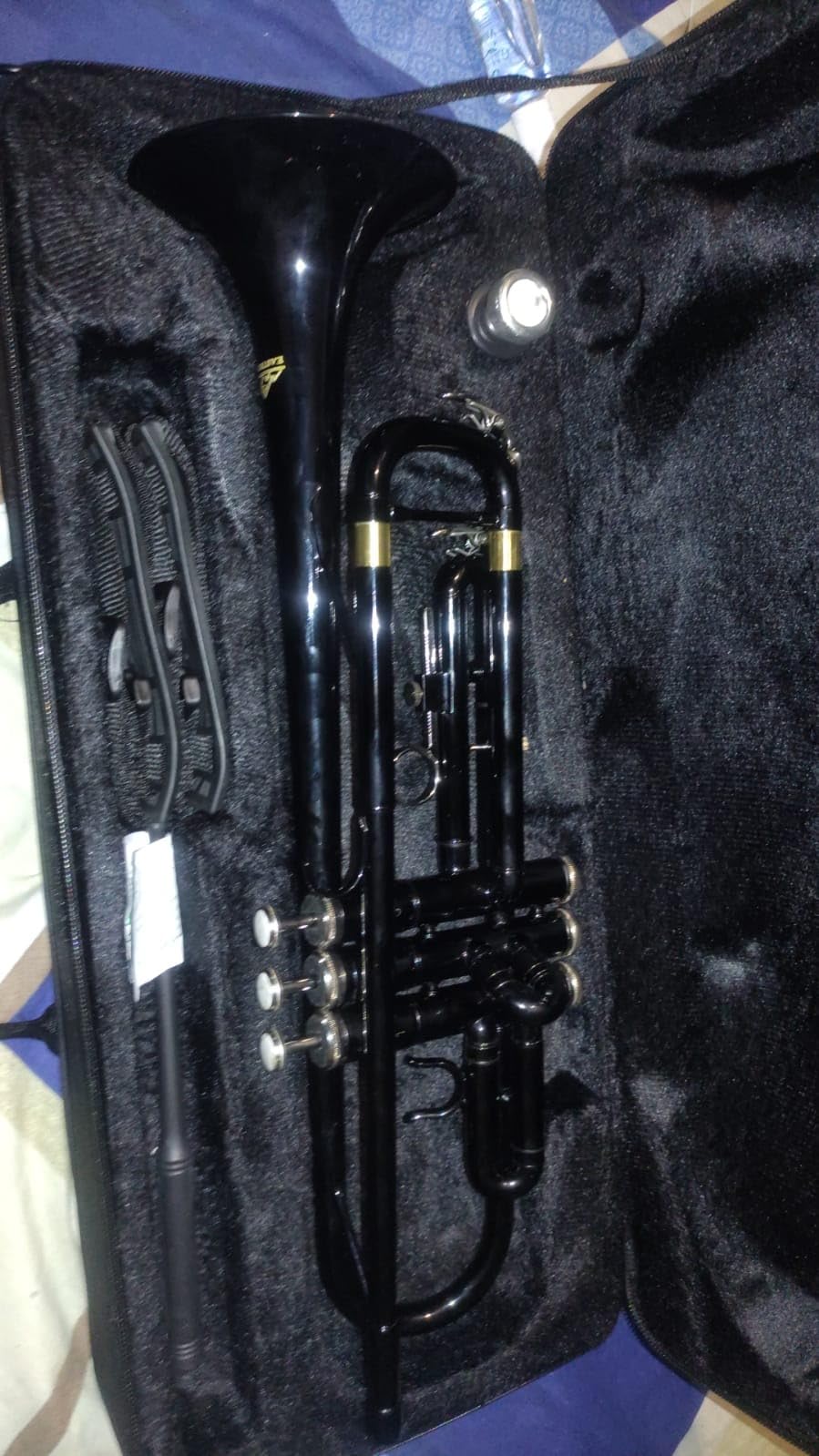 EASTROCK Bb Trumpet Standard Trumpet Set with Carrying Case,Gloves, 7C Mouthpiece and Cleaning Kit (Gold) customer photo 1