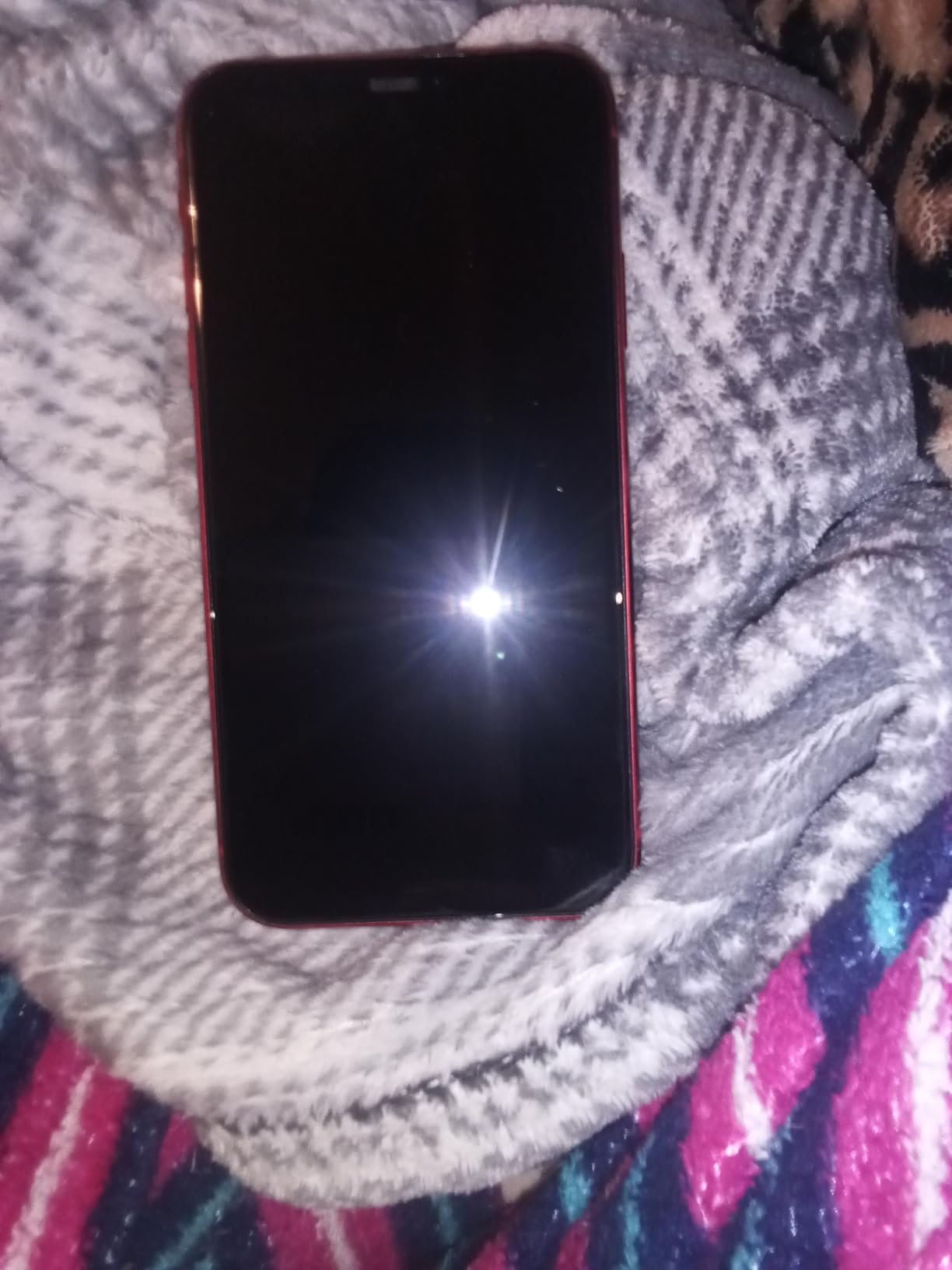 Apple iPhone 11, 64GB, Black - Unlocked (Renewed) customer photo 2