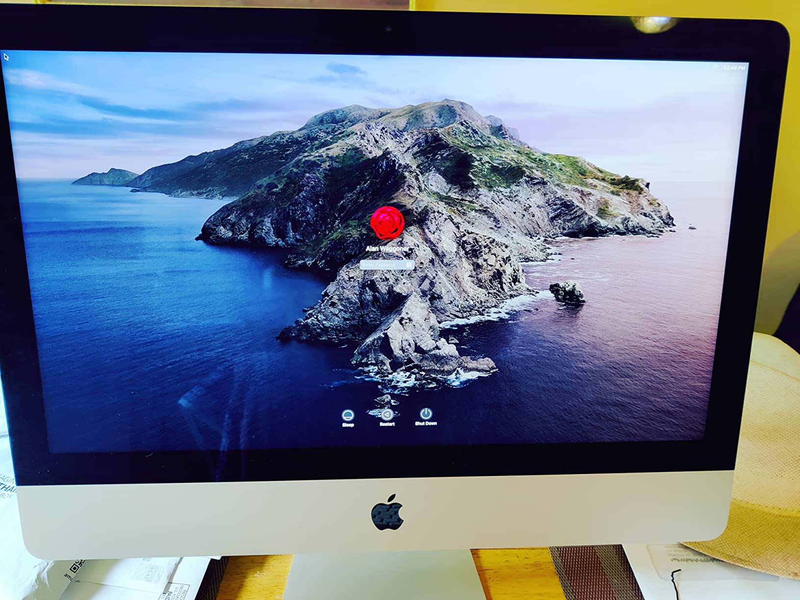 2019 Apple iMac with Retina 4K Display (21.5-inch, 8GB RAM, 1TB Storage) (Renewed) customer photo 1