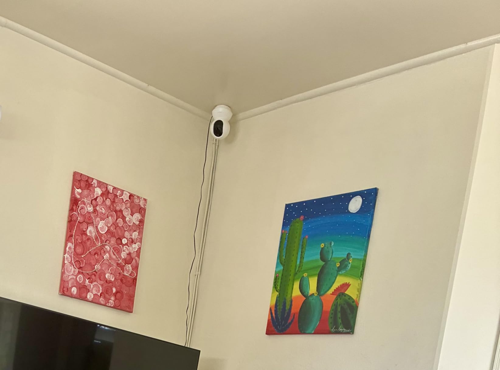 Tapo 1080p Pan/Tilt Security Camera for Baby Monitor, Pet Camera, C200 customer photo 1
