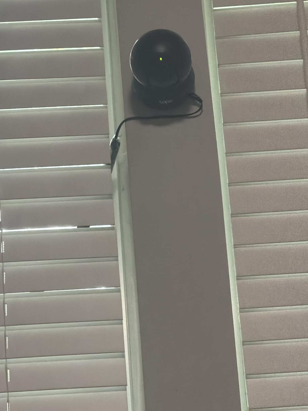 Tapo 1080p Pan/Tilt Security Camera for Baby Monitor, Pet Camera, C200 customer photo 2