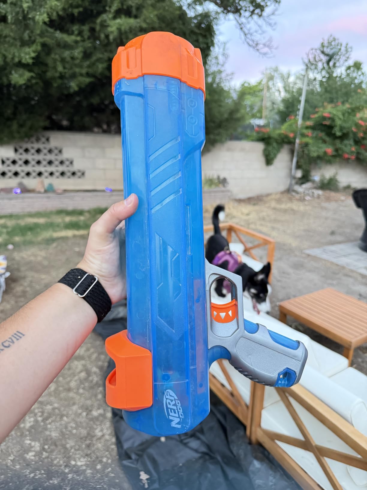 Nerf Dog Tennis Ball Blaster Dog Toy Gift Set, Tennis Ball Dog Fetch Toy Launches up to 50 ft, Dog Ball Thrower for All Breeds Includes Translucent Blue Tennis Ball Launcher and 3 Dog Tennis Balls customer photo 2