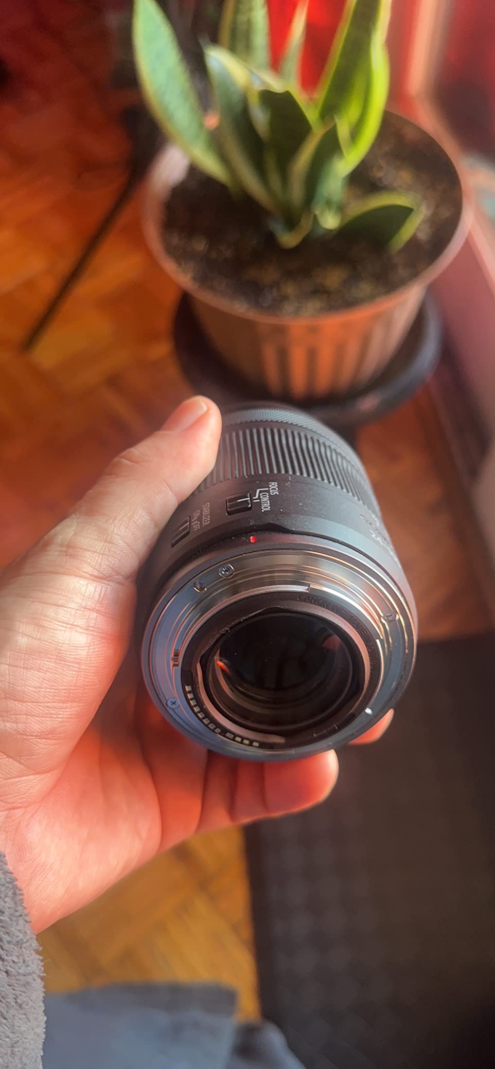 Canon RF24-105mm F4-7.1 is STM (4111C002) customer photo 2