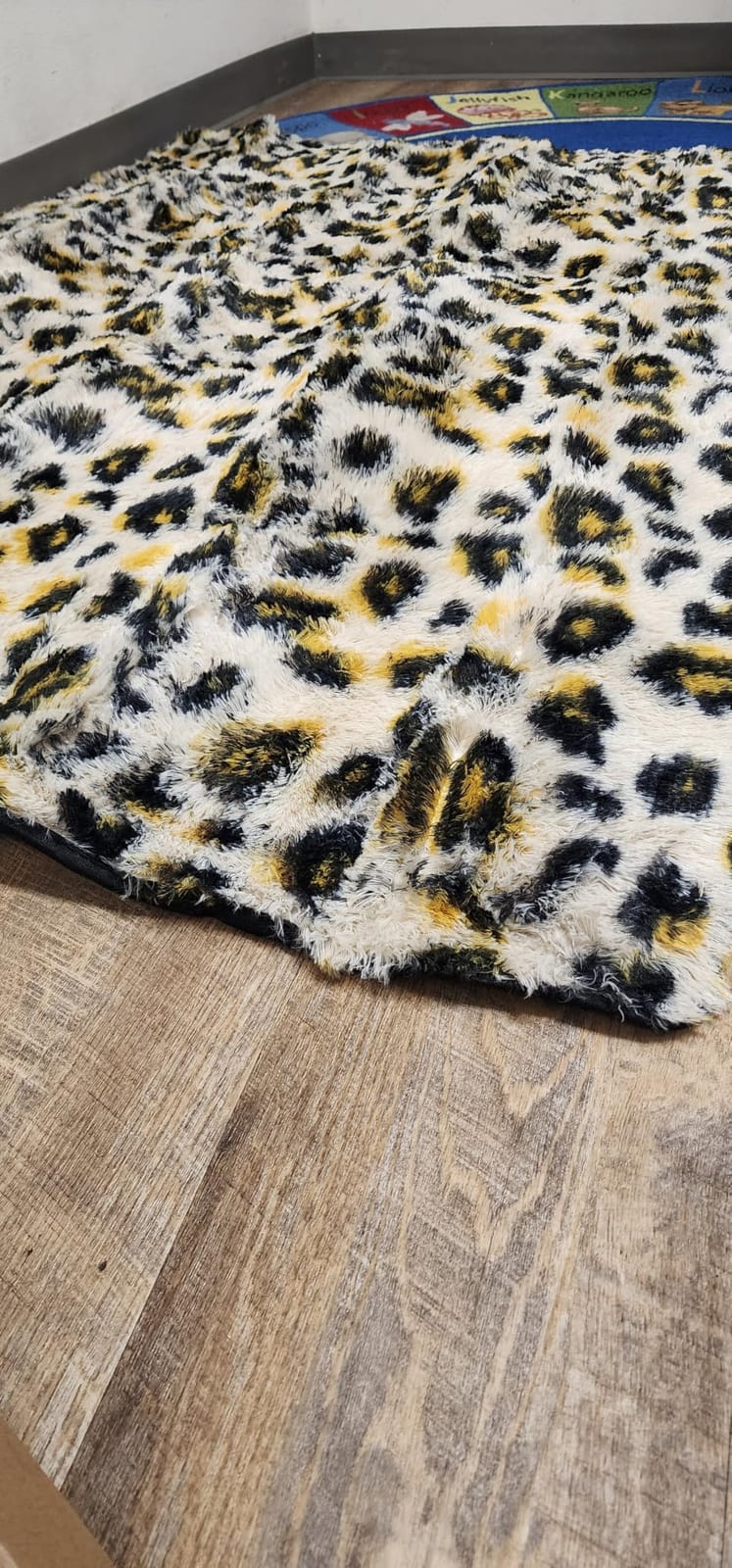 Ophanie Area Rugs for Living Room Bedroom, Washable Non-Slip Fluffy Soft Grey Shag Carpet, Indoor Floor Gray 4x6 Fuzzy Shaggy Living Room Plush Rug for Kids Home Dorm Decor Aesthetic customer photo 2