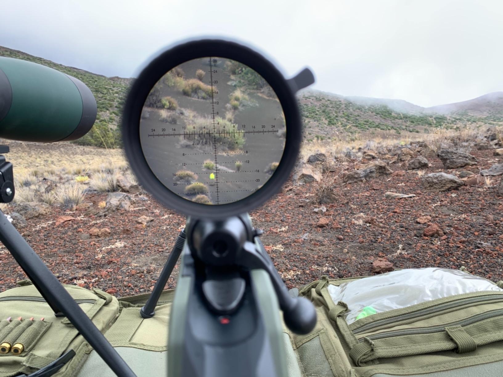 Vortex Strike Eagle First Focal Plane Riflescopes customer photo 2