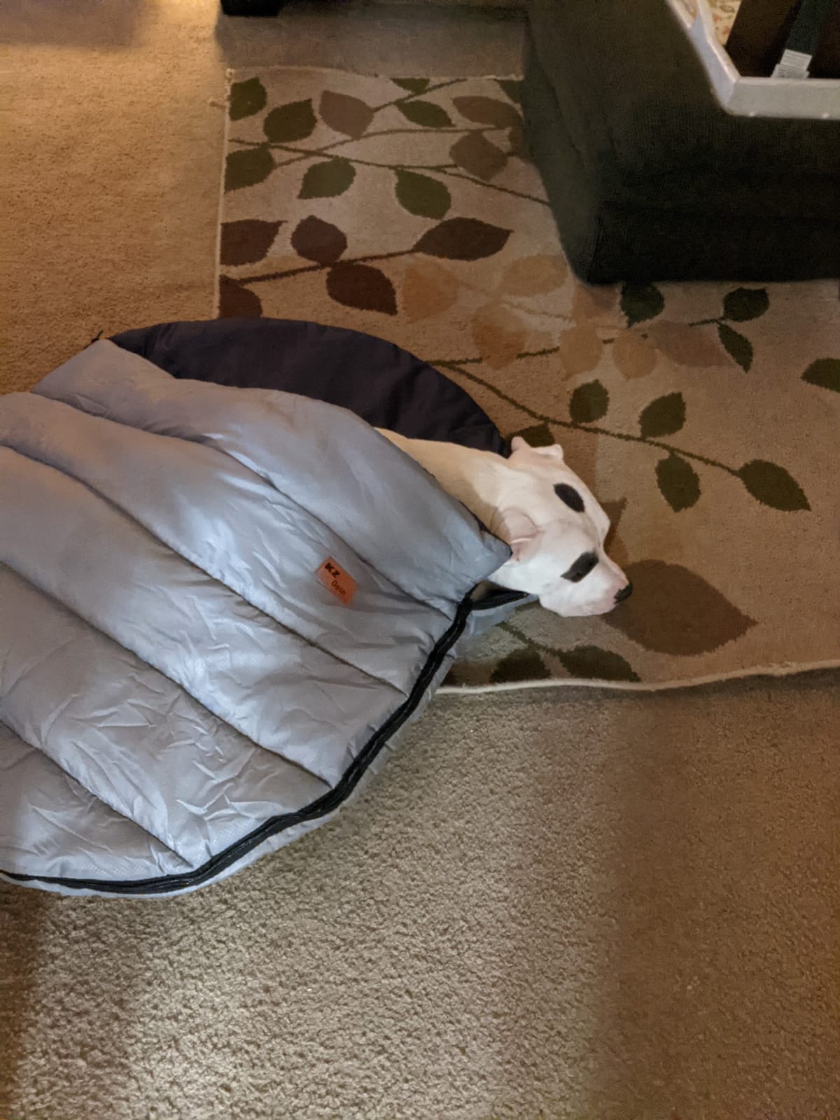 Camping Dog Sleeping Bag, Waterproof Warm Pet Bed Cave, Packable Washable Dog Bed Mat with Compression Bag customer photo 1
