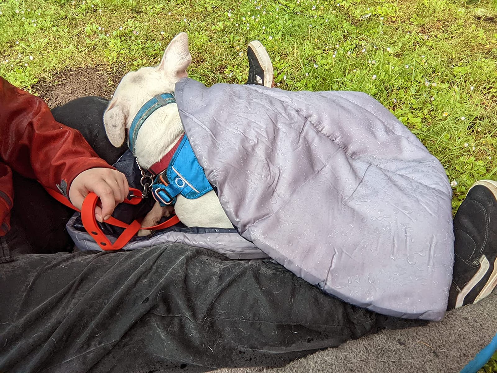 Camping Dog Sleeping Bag, Waterproof Warm Pet Bed Cave, Packable Washable Dog Bed Mat with Compression Bag customer photo 2